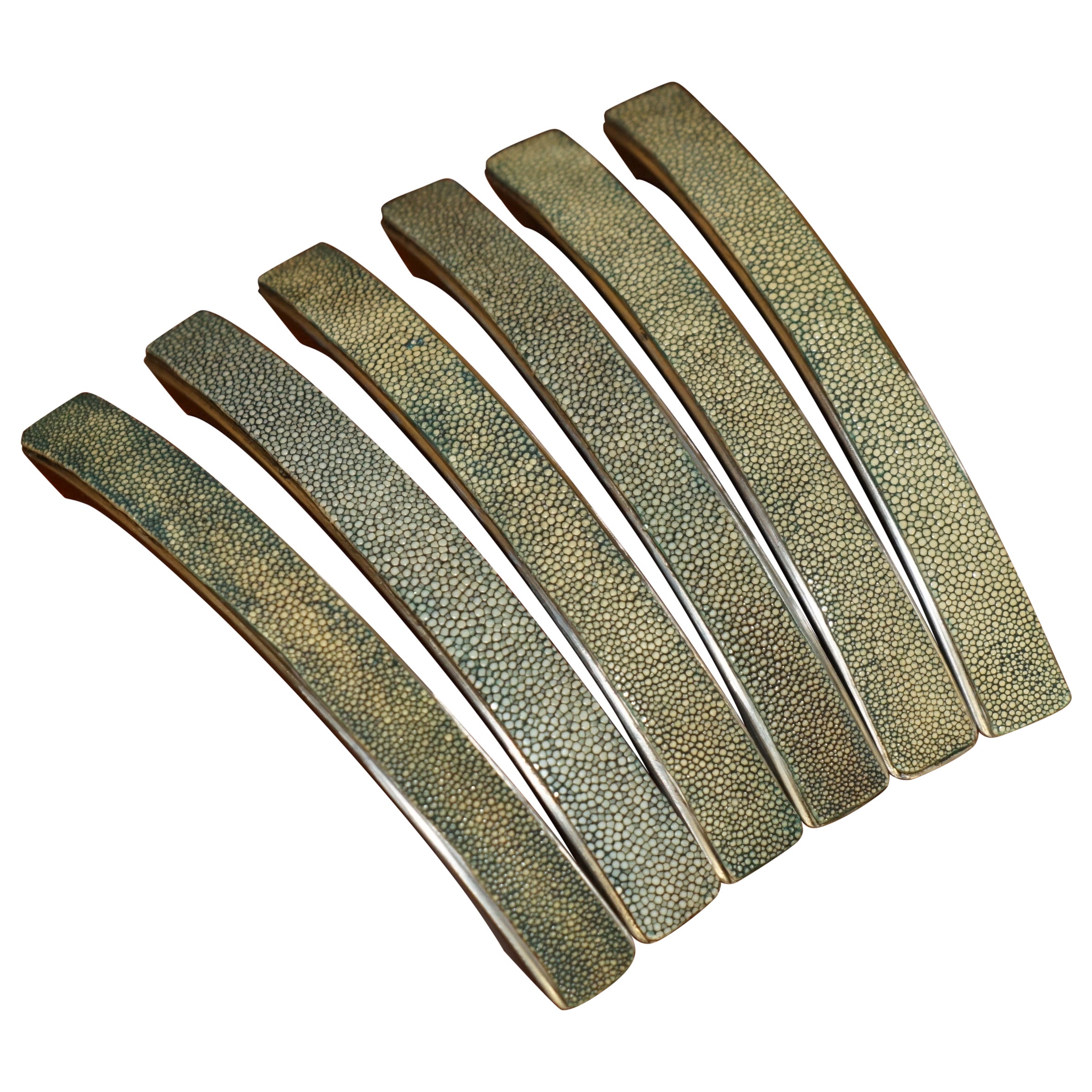 SUITE DECORATIVE DE SIX POIGNÉES EN PEAU DE REQUIN SHAGREEN POUR TENIR LE BUREAU ET LE CUPBOARD