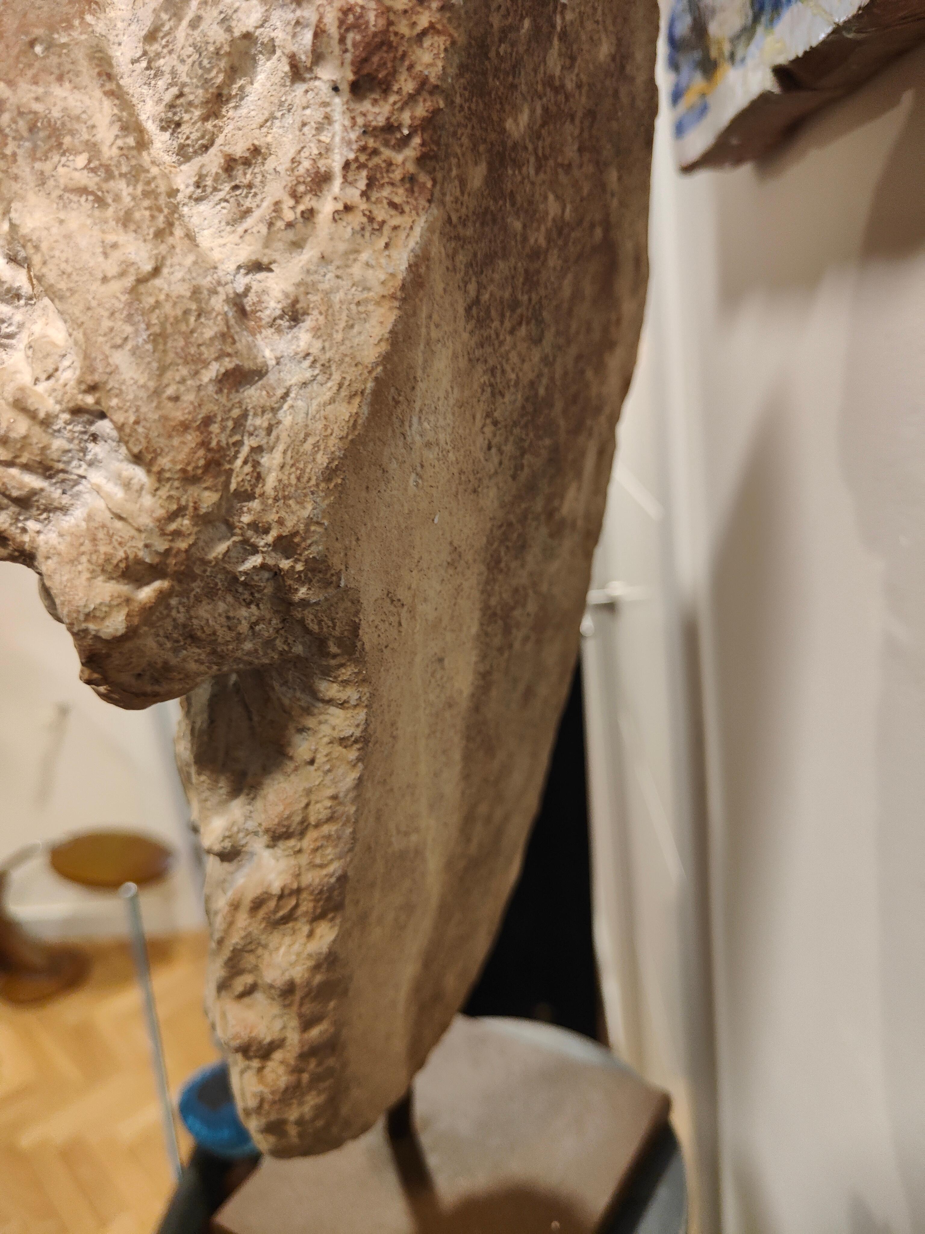 Inizio XX secolo Testa decorativa di un dio greco in terracotta in vendita