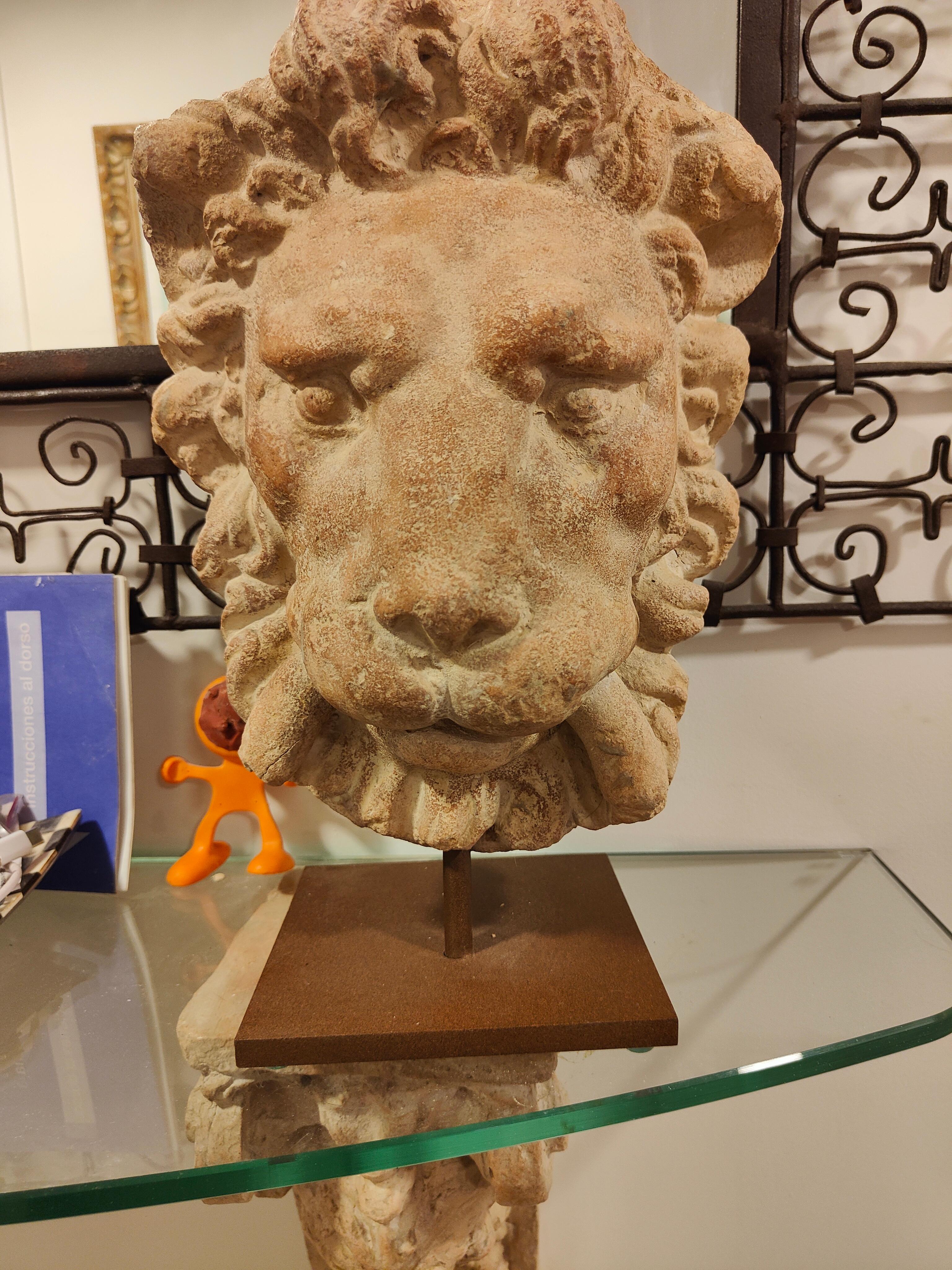 Aggiungi un tocco di regale eleganza alla tua collezione con questa testa di leone in terracotta, realizzata agli inizi del 1900. Questo pezzo sorprendente cattura l'essenza maestosa del leone, rendendolo un'aggiunta accattivante a qualsiasi