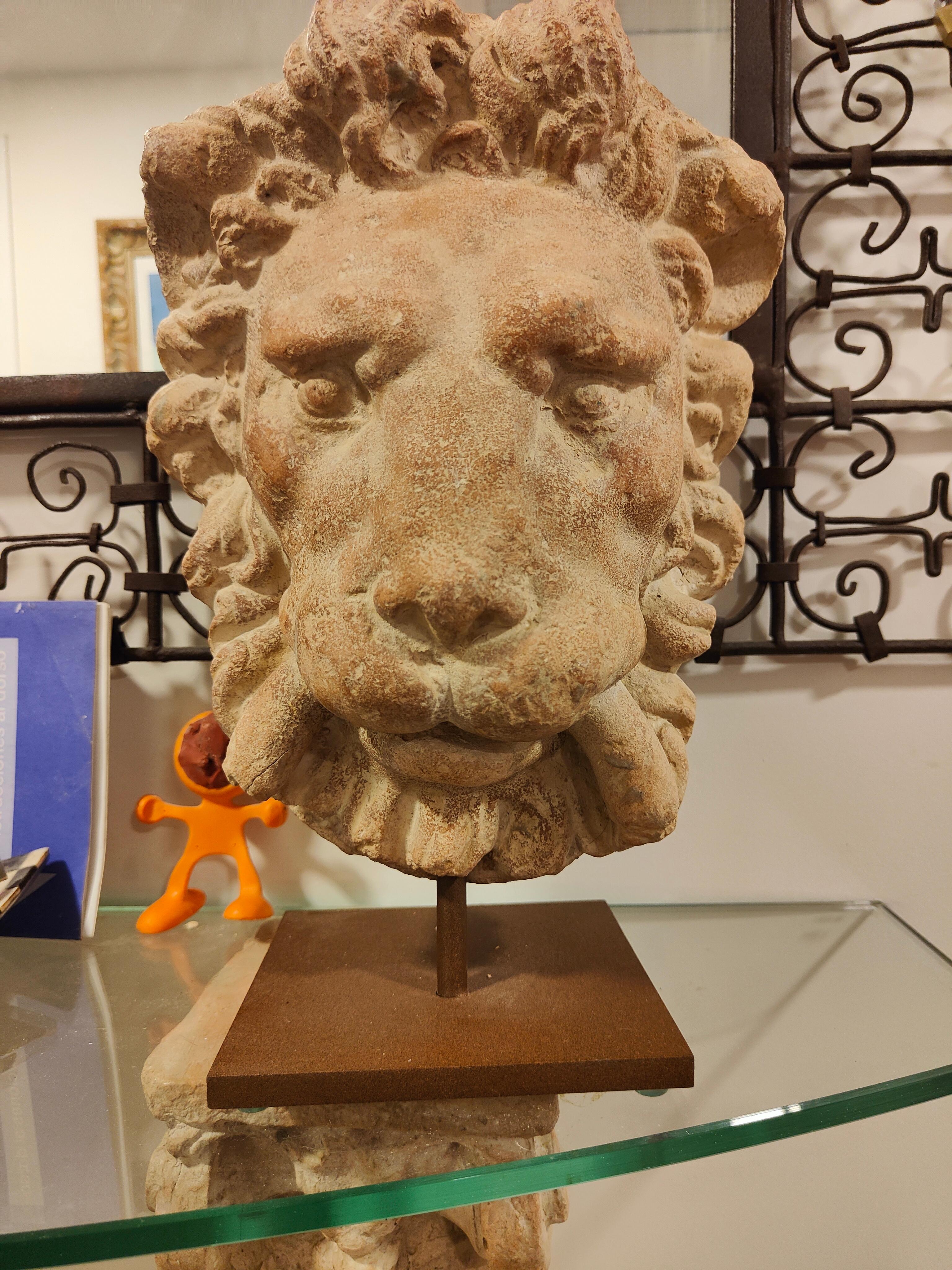 Inizio XX secolo Testa di leone decorativa in terracotta in vendita