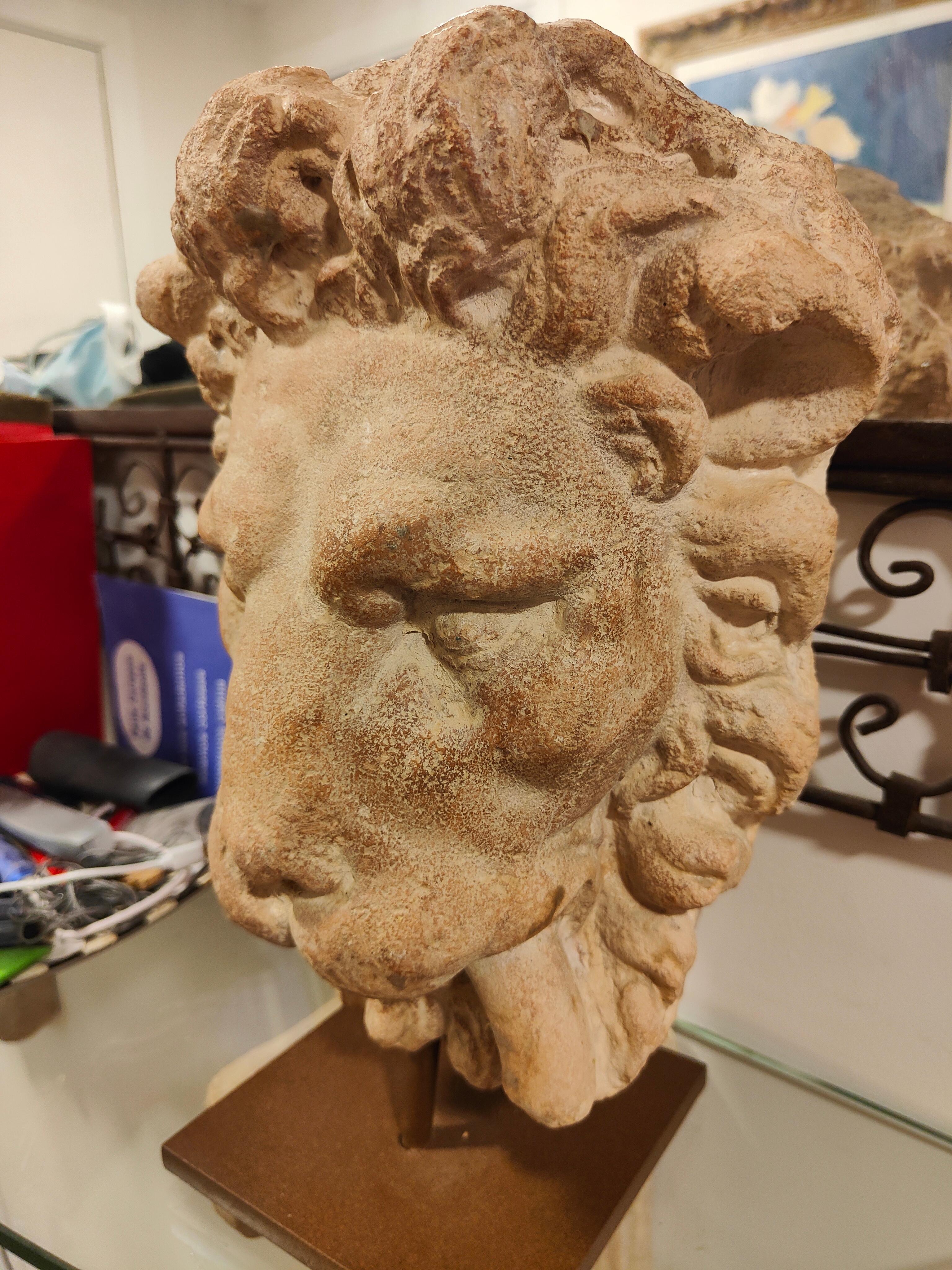 Testa di leone decorativa in terracotta in vendita 1