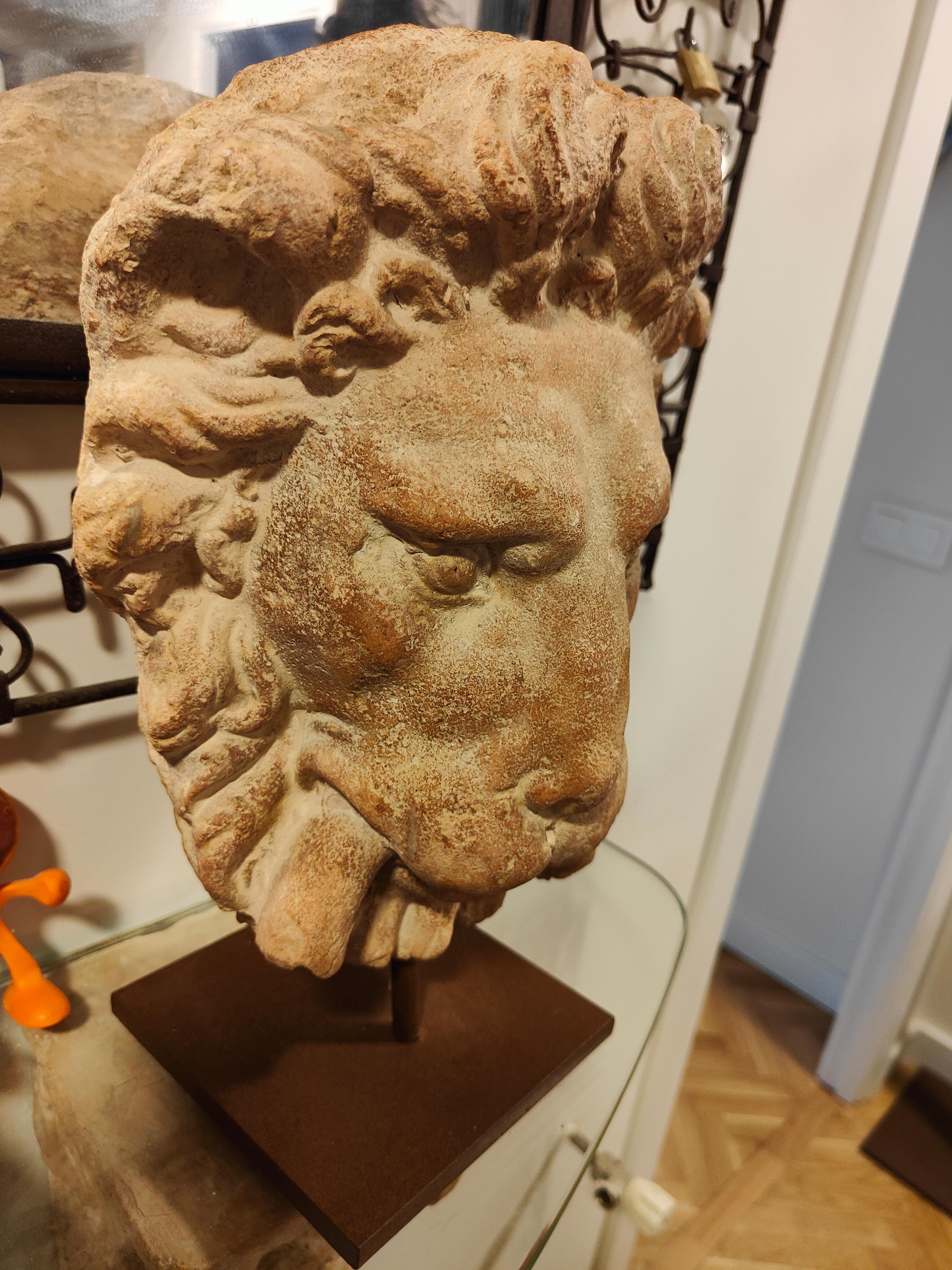 Testa di leone decorativa in terracotta in vendita 3