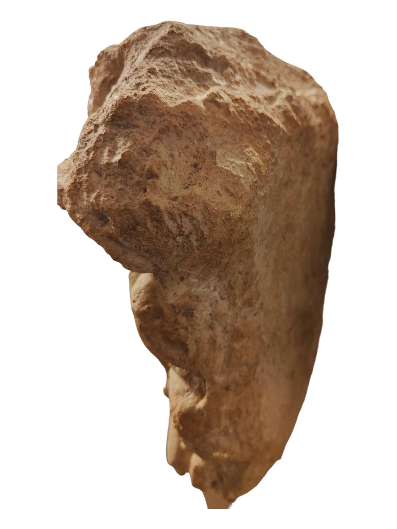 Testa di leone decorativa in terracotta in vendita 4