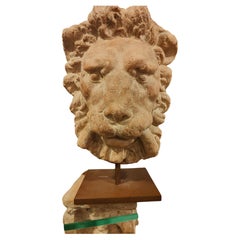 Cabeza de león decorativa de terracota