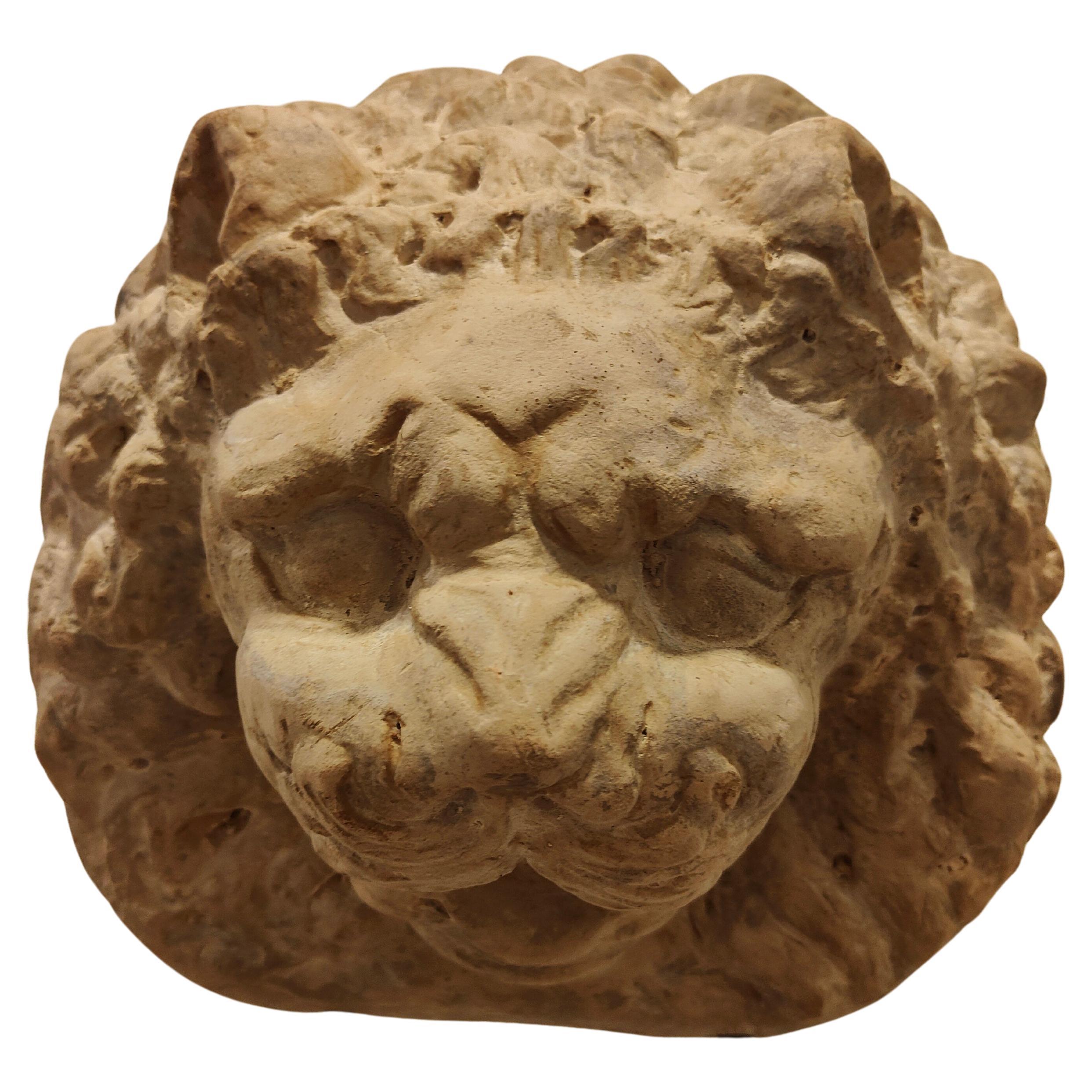 Decorative Terracotta Lion Head
