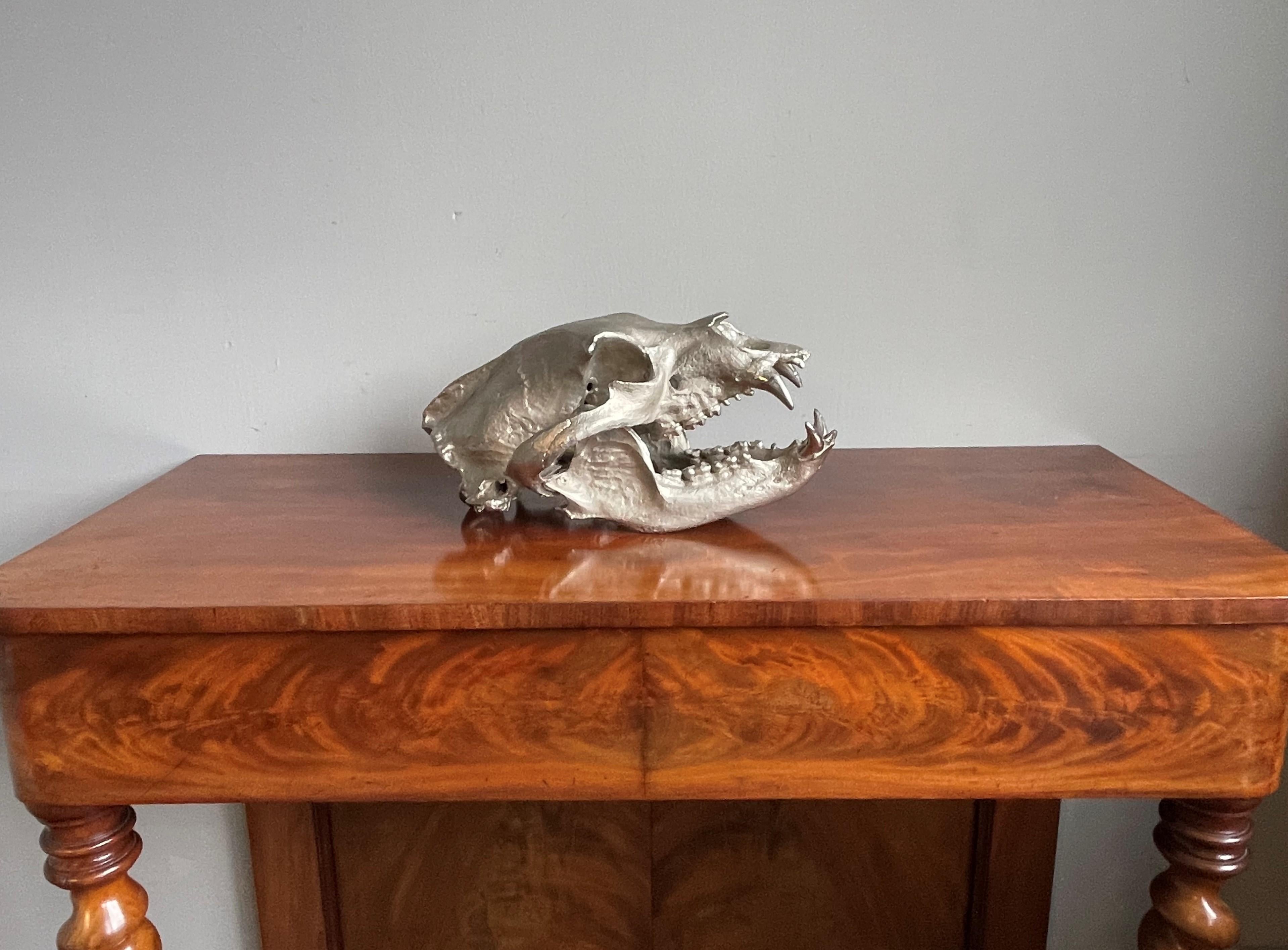Escultura Calavera de Oso de Bronce Cromado Mate, Decorativa y de Alta Calidad 3