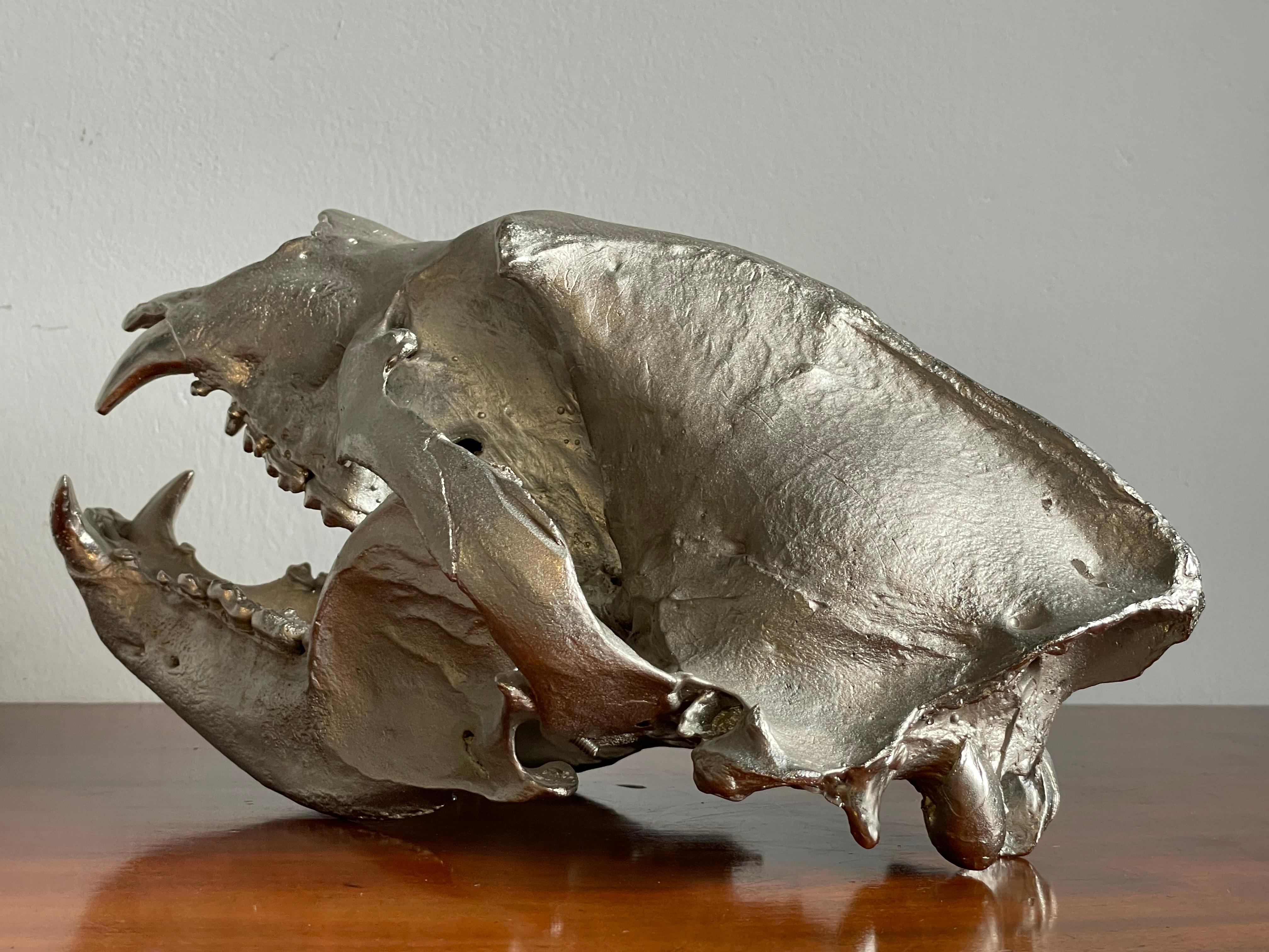 Moderne Sculpture de crâne d'ours en bronze peint en chrome mat, de qualité supérieure et décorative en vente