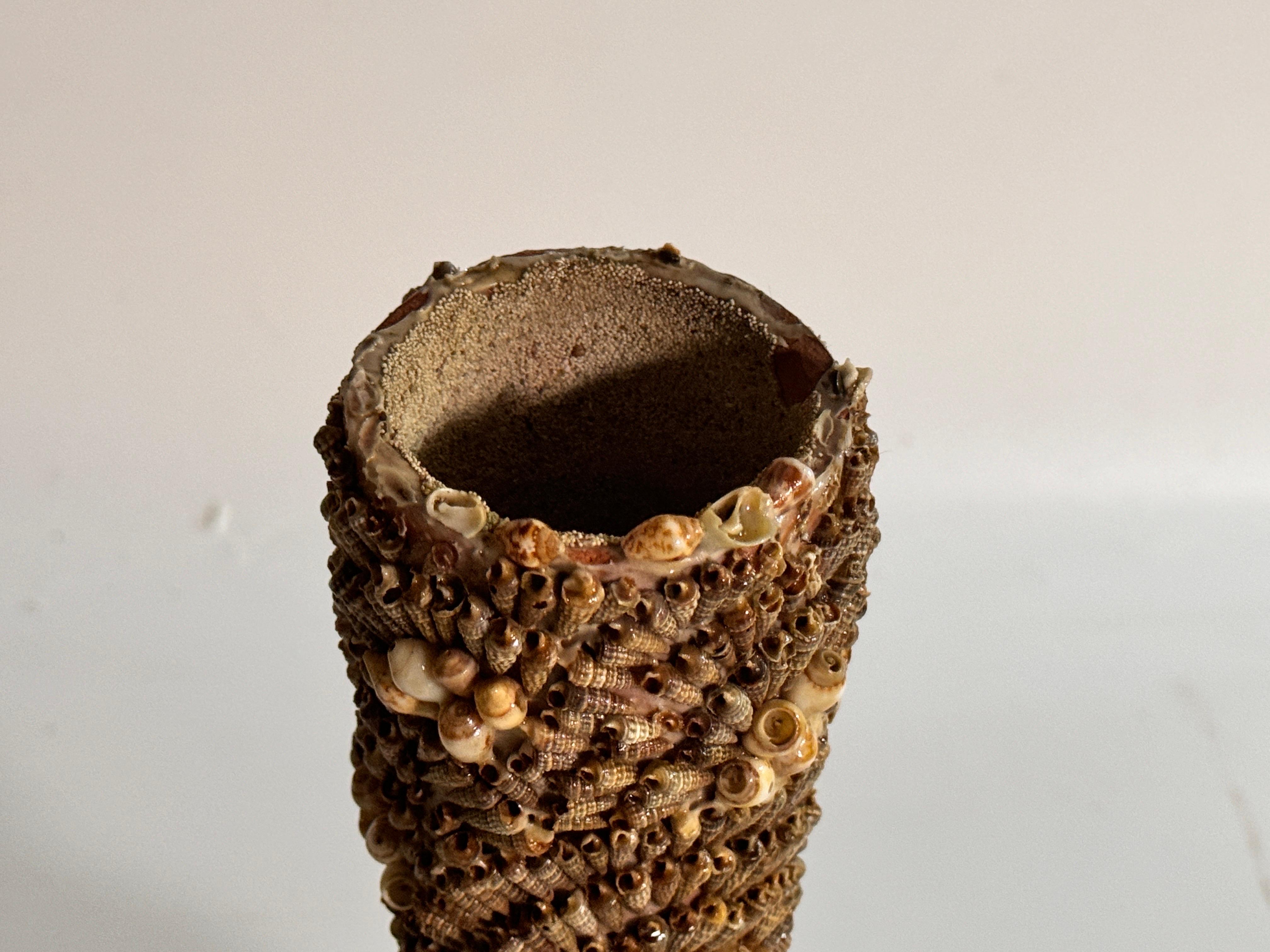 Vaso decorativo d'epoca in ceramica e conchiglie, Francia, circa 1970 In condizioni buone in vendita a Auribeau sur Siagne, FR