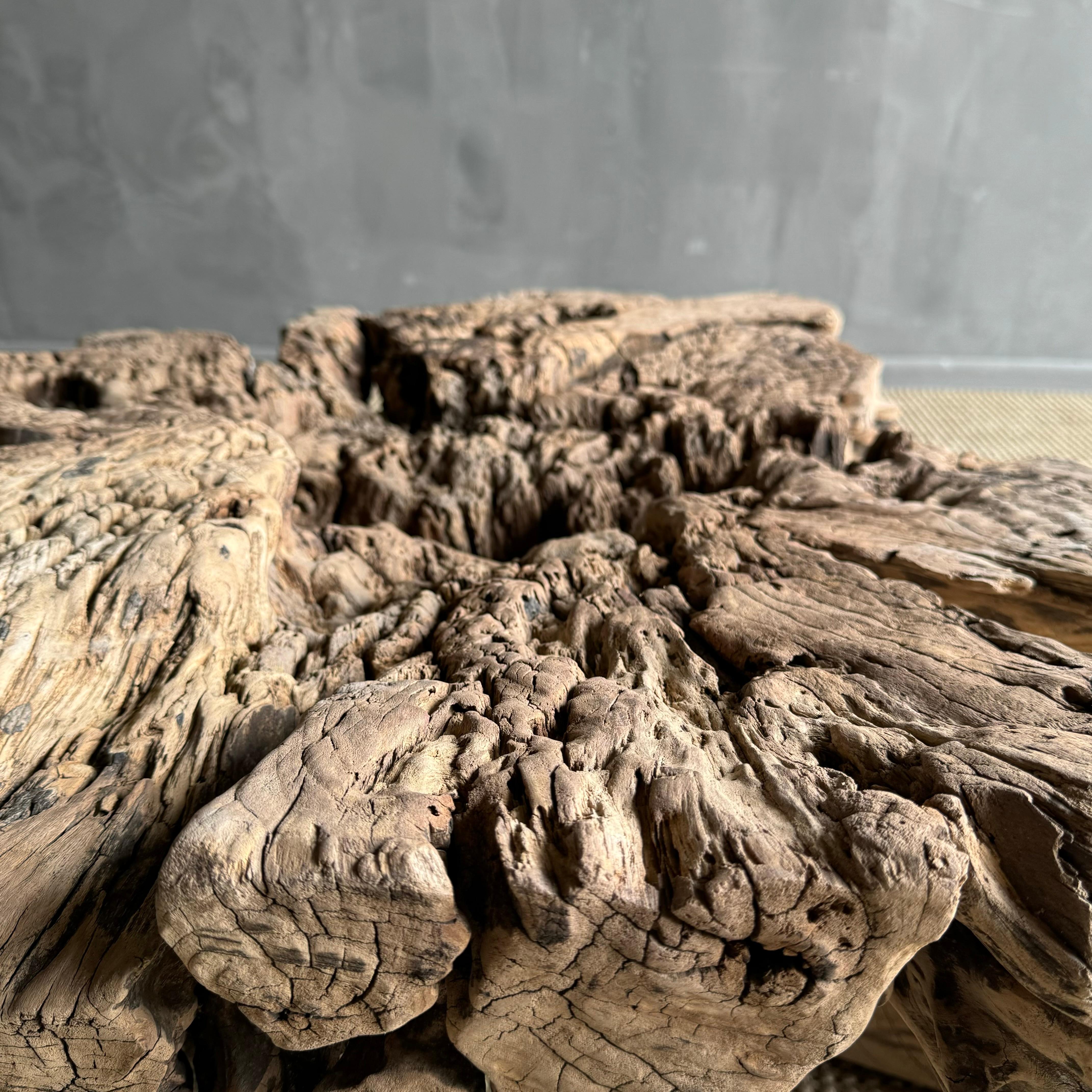 Tavolino o tavolino decorativo con ceppo di Wood in vendita 4