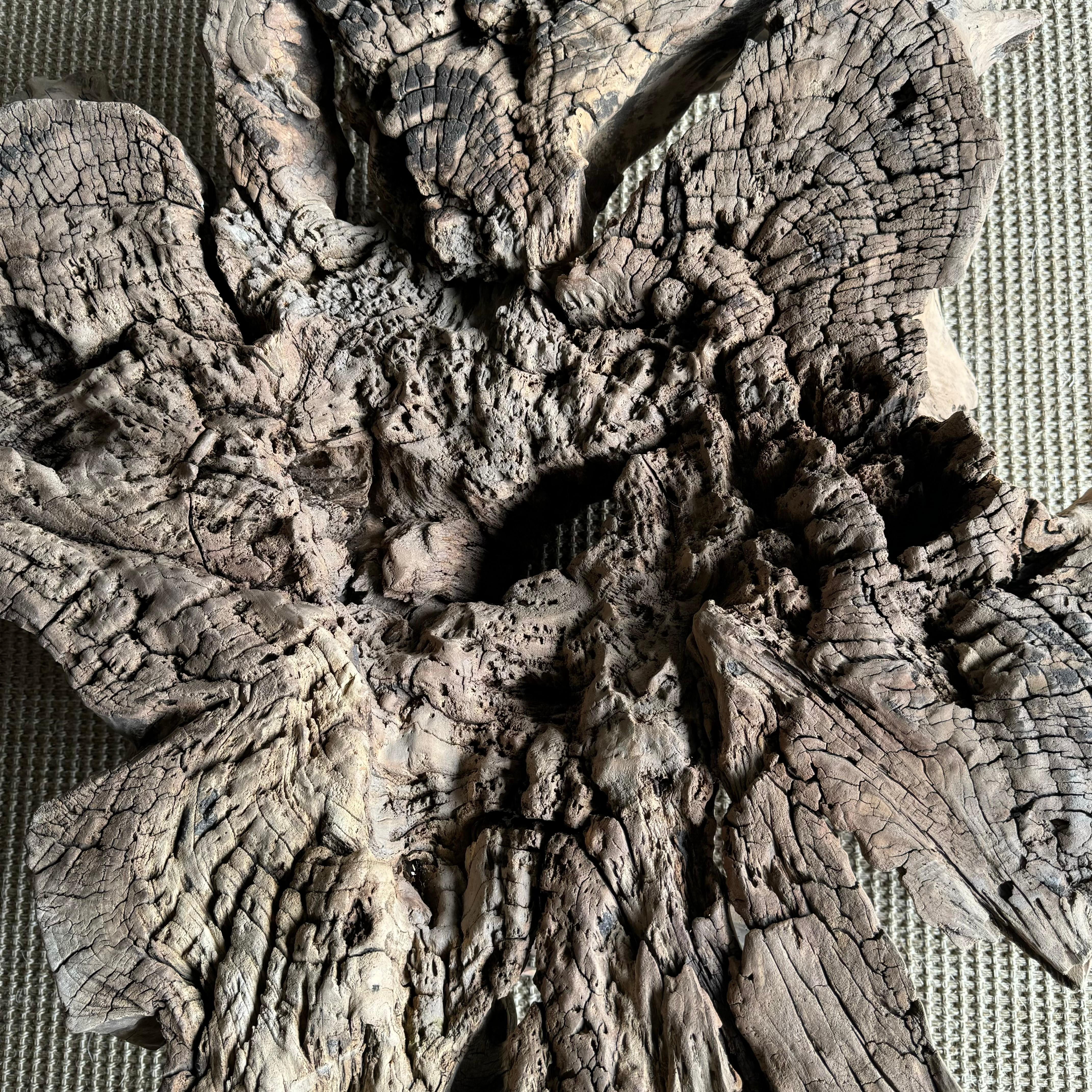 Tavolino o tavolino decorativo con ceppo di Wood in vendita 6