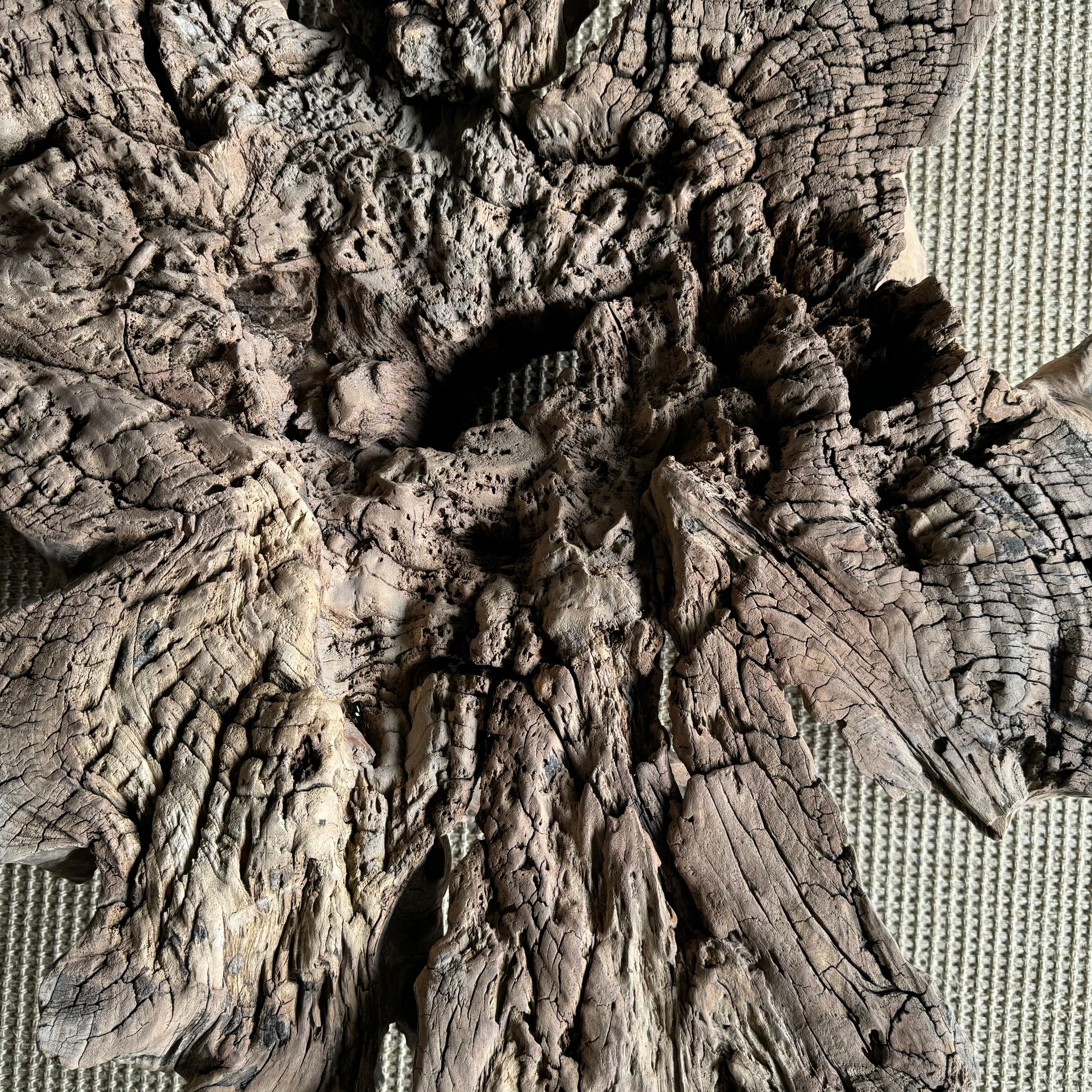 Tavolino o tavolino decorativo con ceppo di Wood in vendita 7