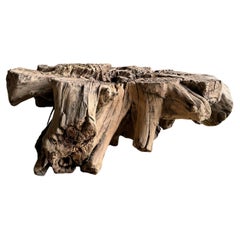 Decorative Wood Stump Coffee Table or Side Table