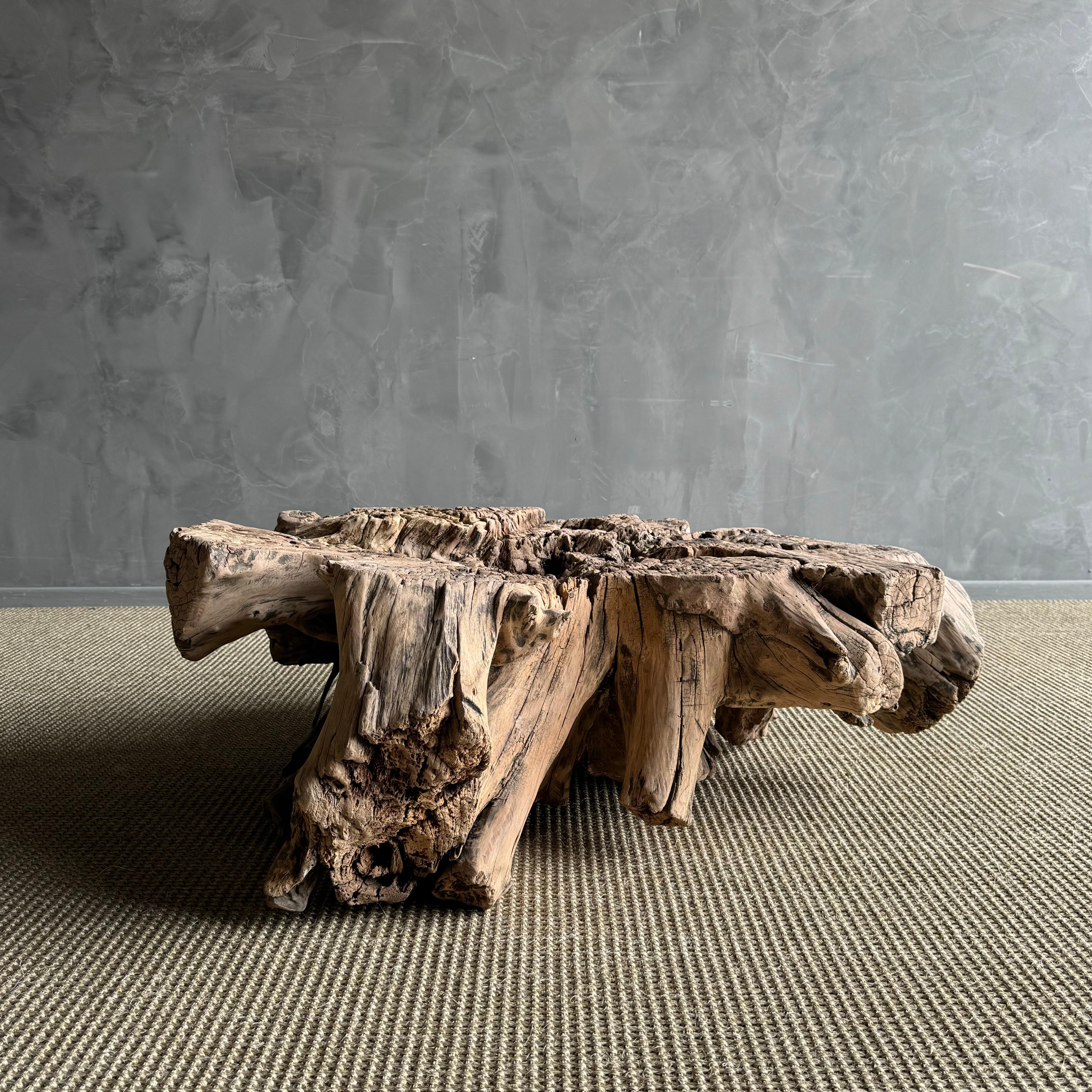 Organico moderno Tavolino o tavolino decorativo con ceppo di Wood in vendita