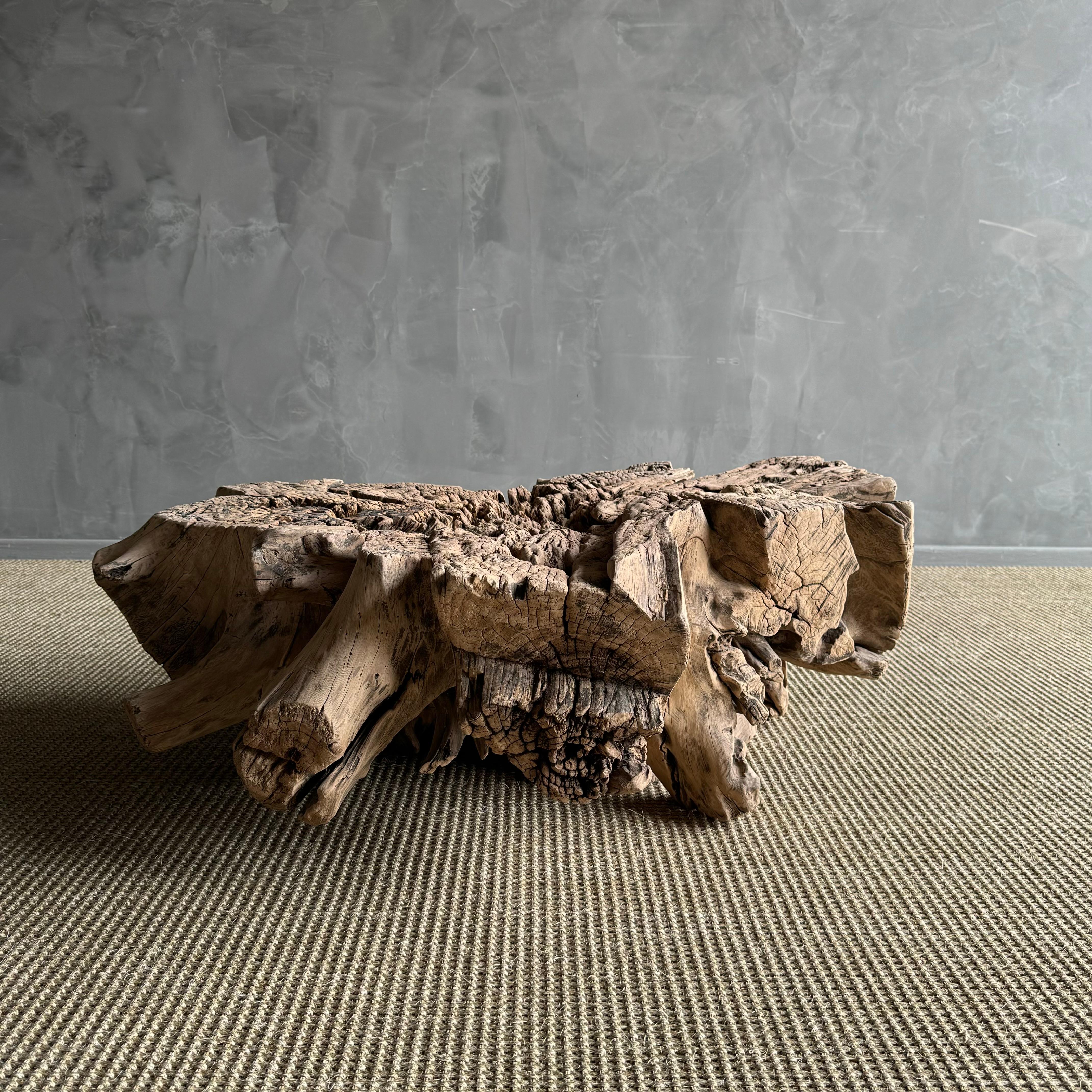 XX secolo Tavolino o tavolino decorativo con ceppo di Wood in vendita