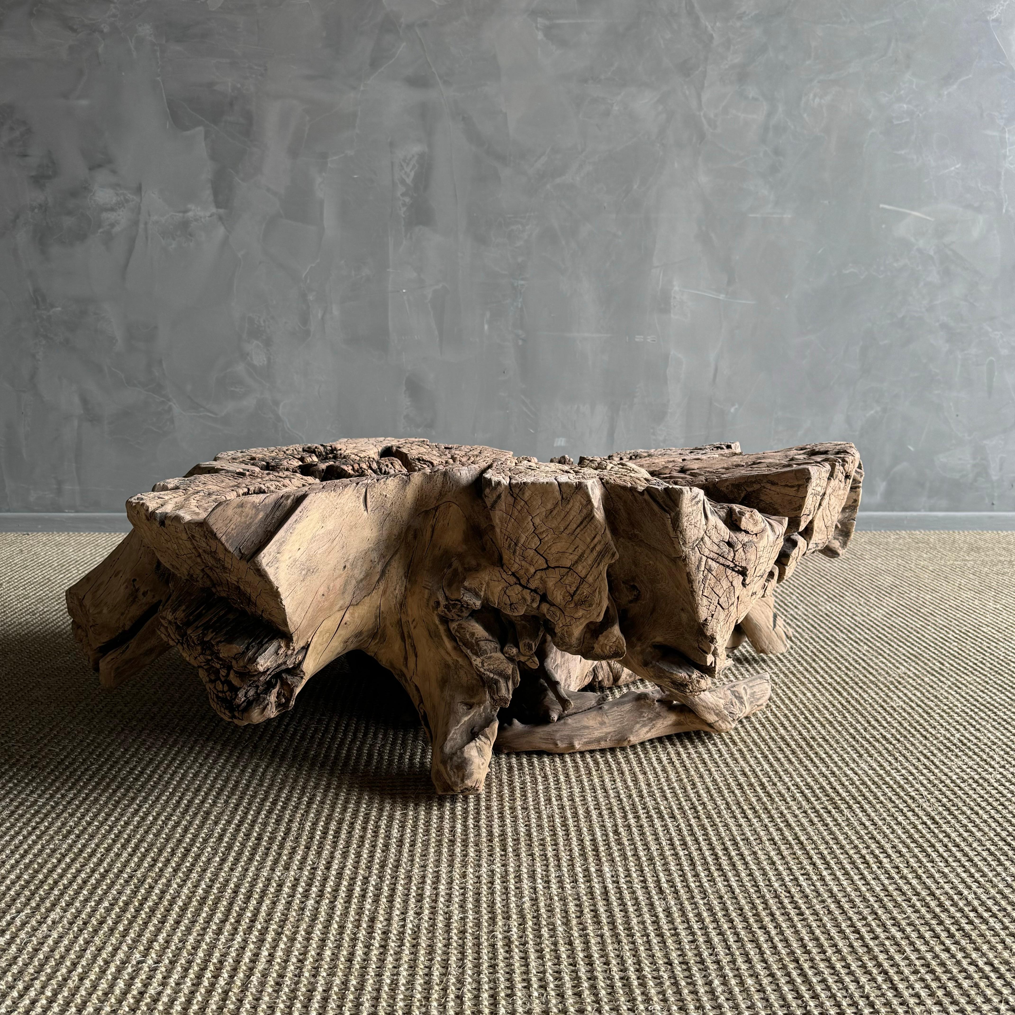 Olmo Tavolino o tavolino decorativo con ceppo di Wood in vendita