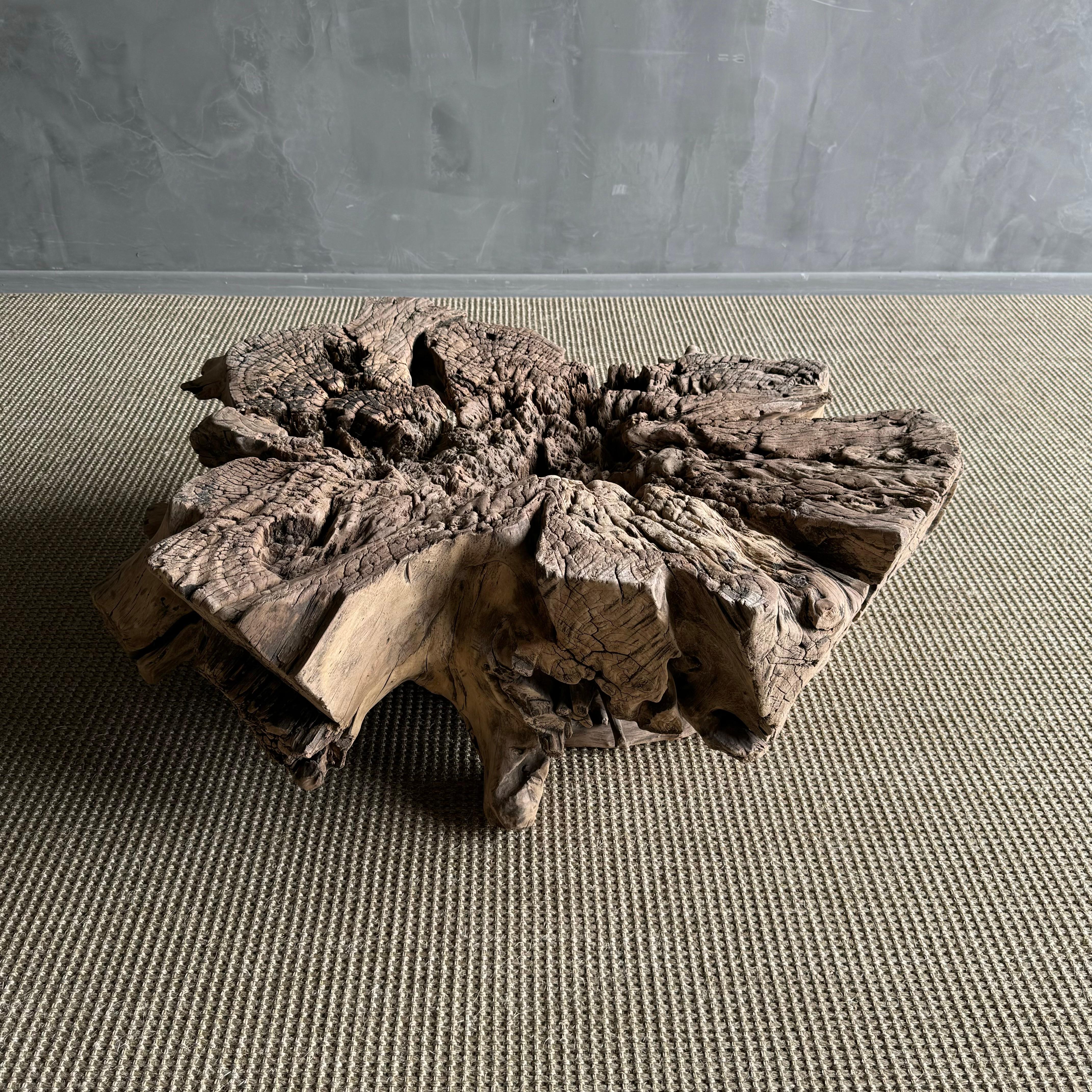 Tavolino o tavolino decorativo con ceppo di Wood in vendita 1