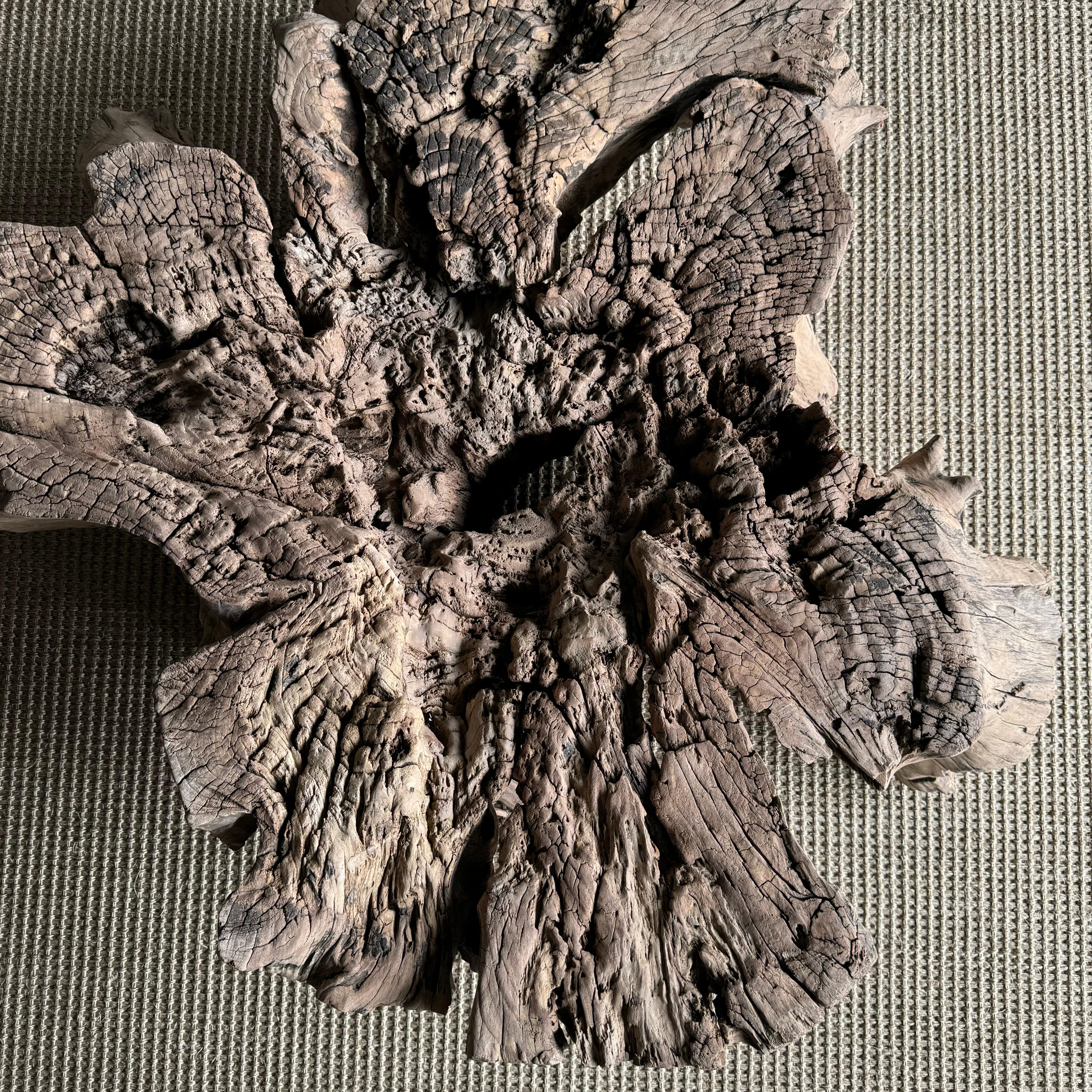 Tavolino o tavolino decorativo con ceppo di Wood in vendita 3