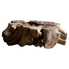 Decorative Wood Stump Coffee Table or Side Table