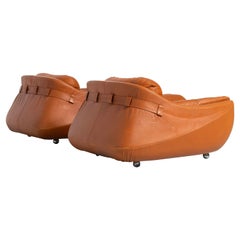 Decursu De Pas D'Urbino Lomazzi Carrera Chairs Italy 1969