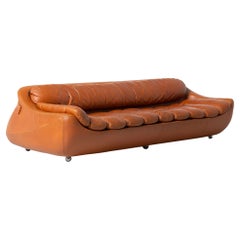 Decursu De Pas D'Urbino Lomazzi Carrera Sofa, Italy, 1969