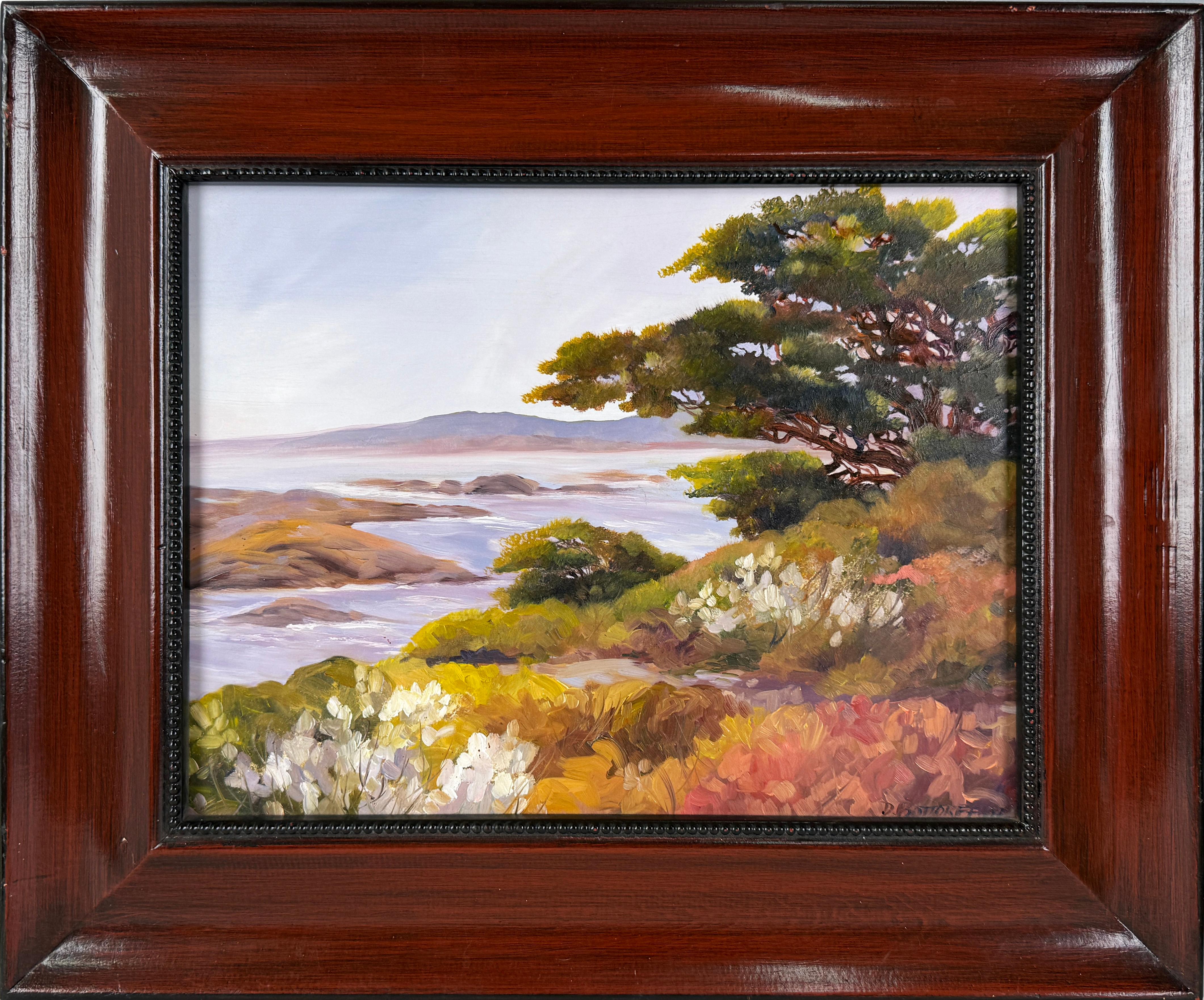 Near Point in Carmel by the Sea Kalifornien von Dee Bortorff