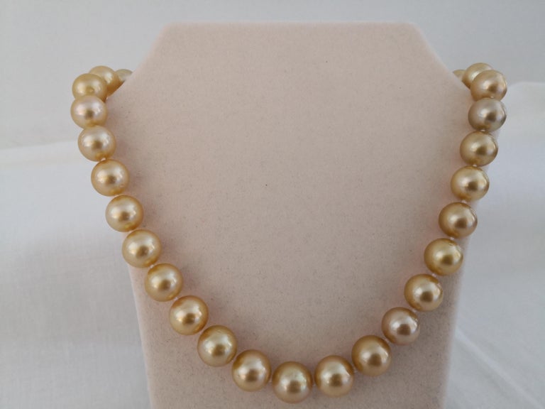 Deep Golden Color South Sea Pearl Necklace, Round, 18 Karat Gold For ...