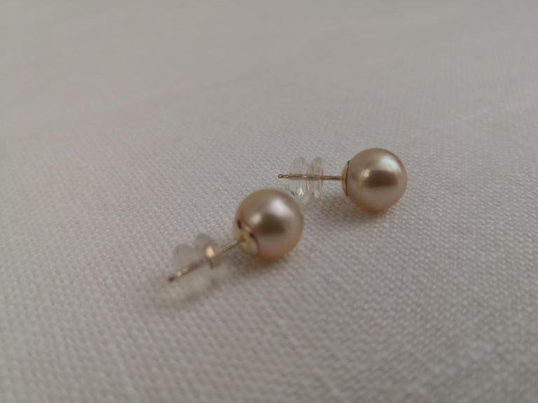 Deep Golden South Sea Pearls, Round Shape, Gold Earrings For Sale at 1stDibs