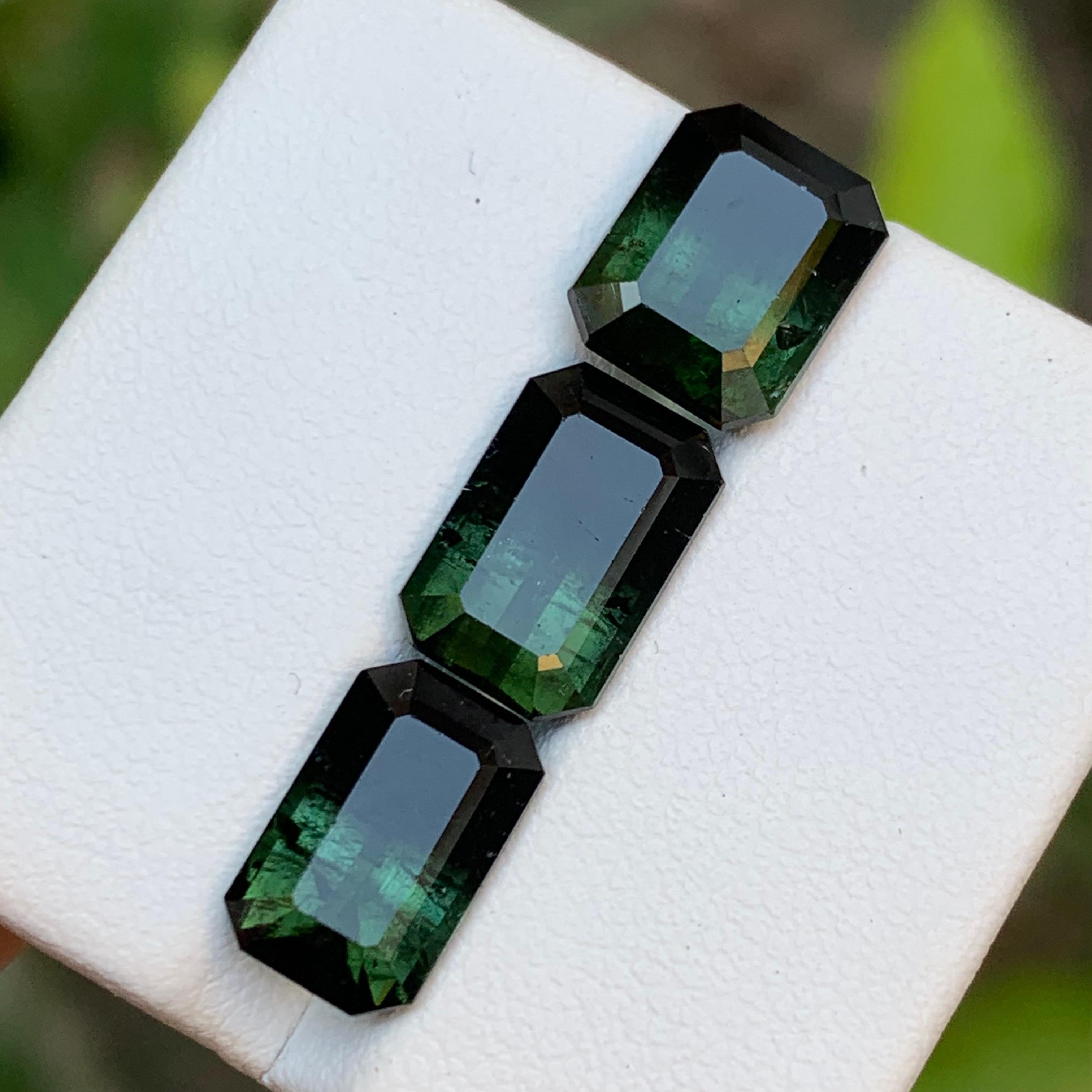 Tourmaline Naturelle Bicolore Vert & Greene & Greene 10.20 Ct Emerald Cut en vente 5