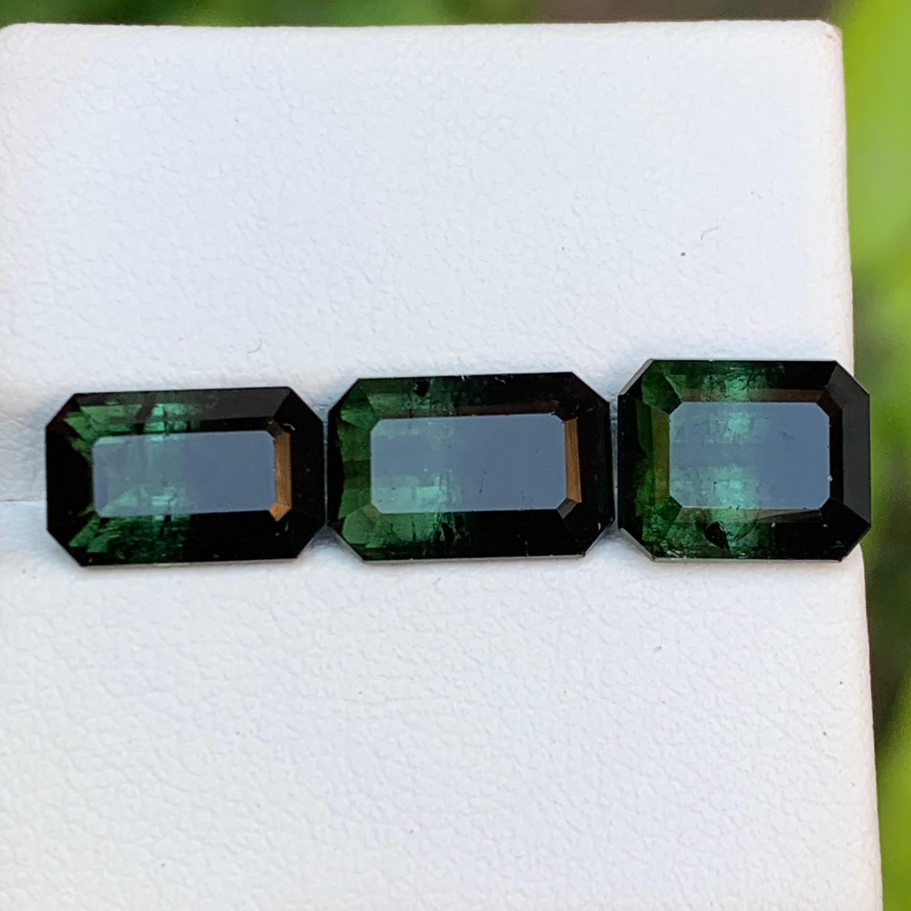 Tourmaline Naturelle Bicolore Vert & Greene & Greene 10.20 Ct Emerald Cut en vente 6