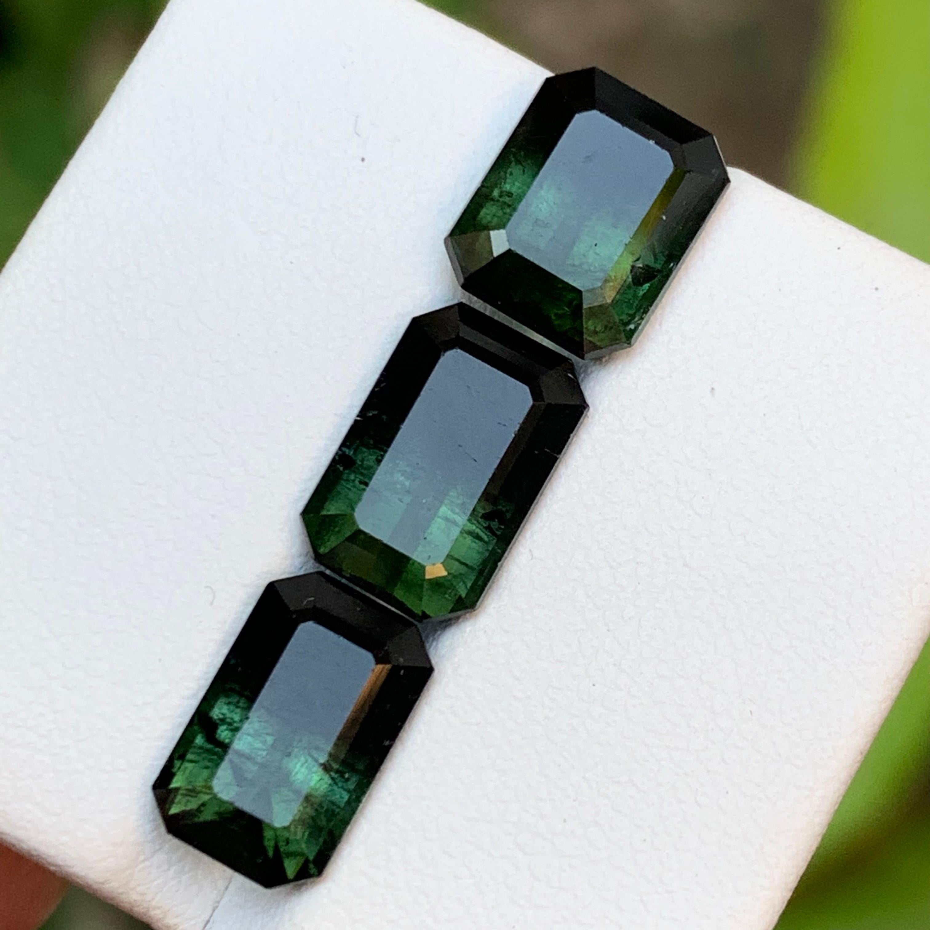 Taille émeraude Tourmaline Naturelle Bicolore Vert & Greene & Greene 10.20 Ct Emerald Cut en vente