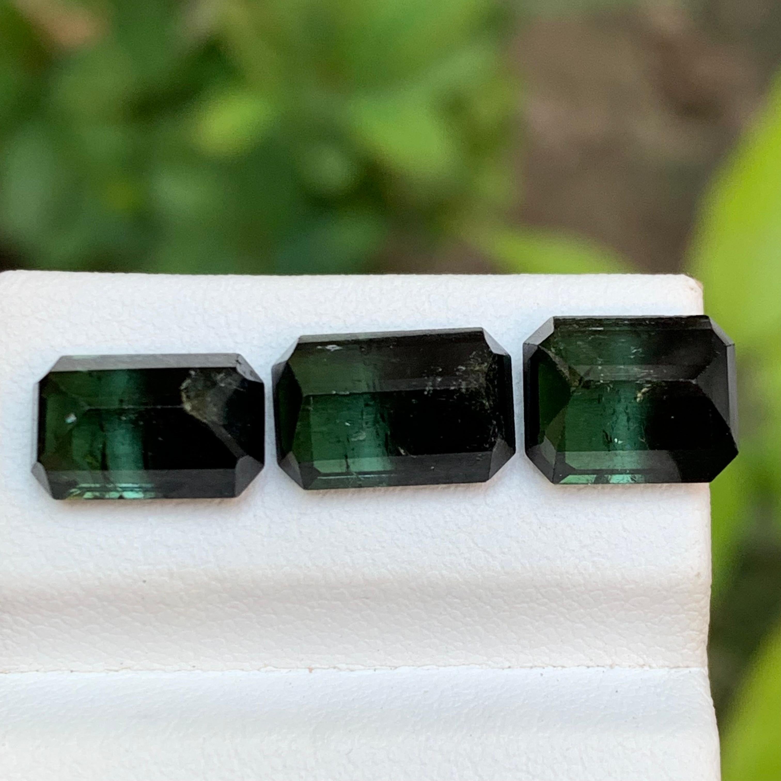 Tourmaline Naturelle Bicolore Vert & Greene & Greene 10.20 Ct Emerald Cut en vente 1