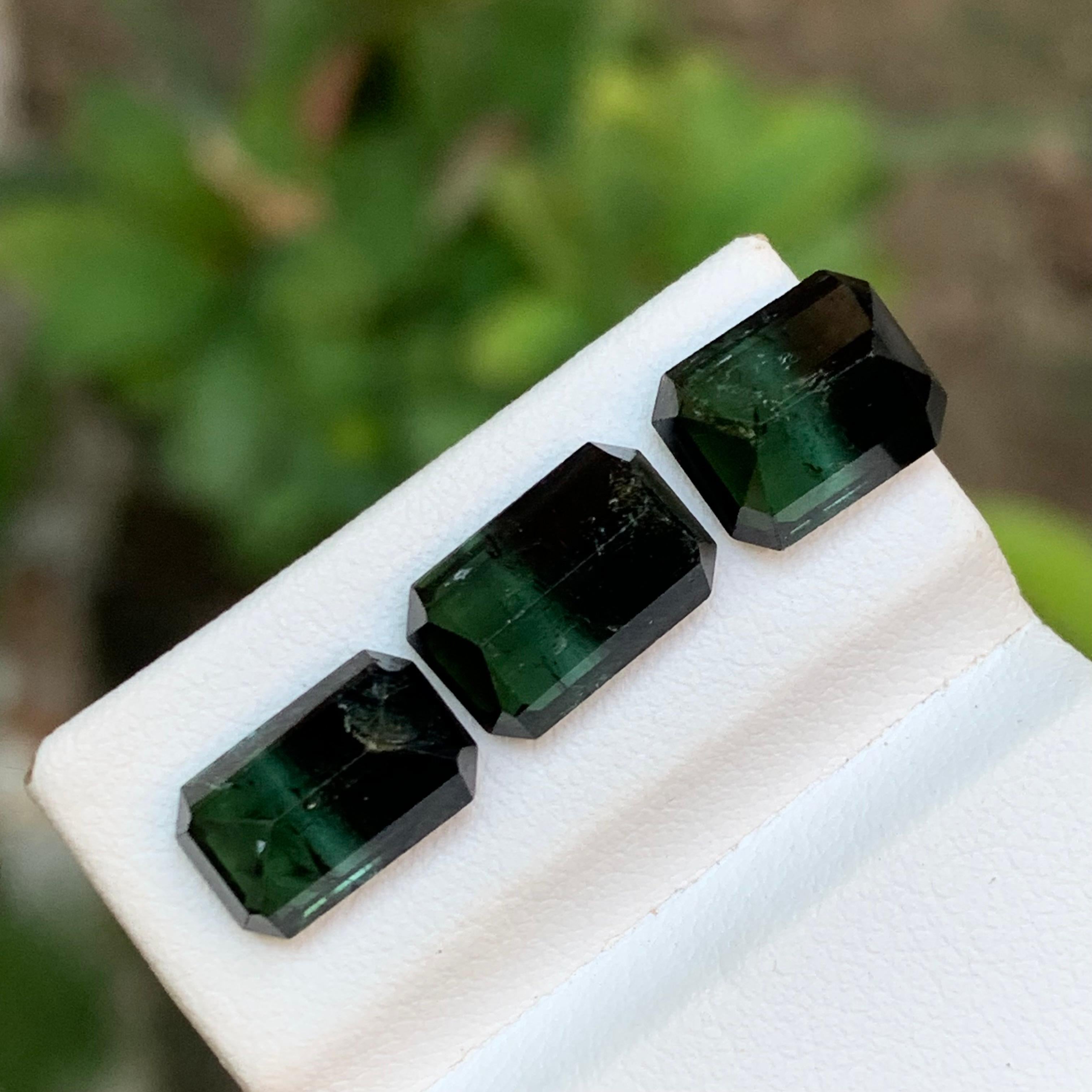 Tourmaline Naturelle Bicolore Vert & Greene & Greene 10.20 Ct Emerald Cut en vente 2