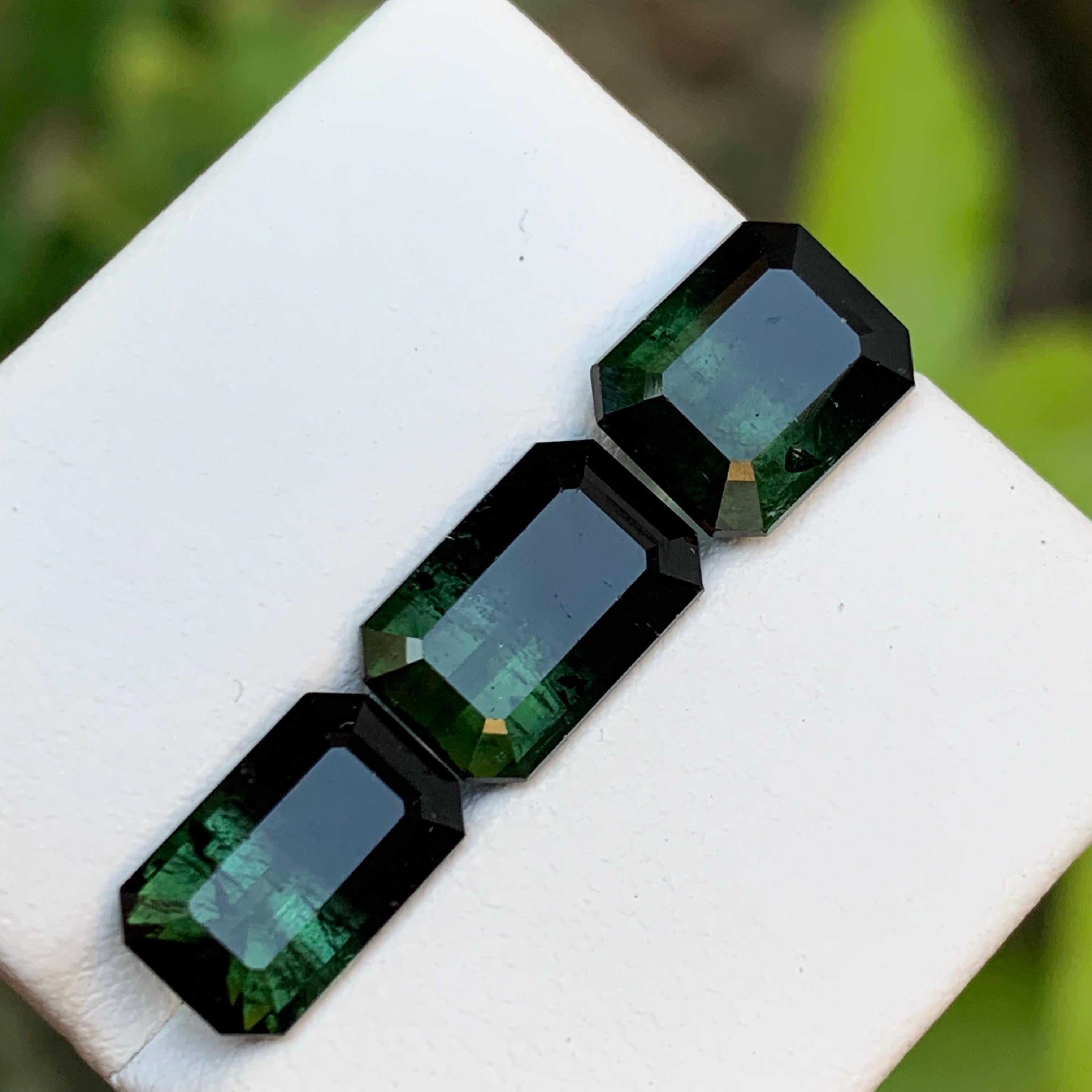 Tourmaline Naturelle Bicolore Vert & Greene & Greene 10.20 Ct Emerald Cut en vente 3