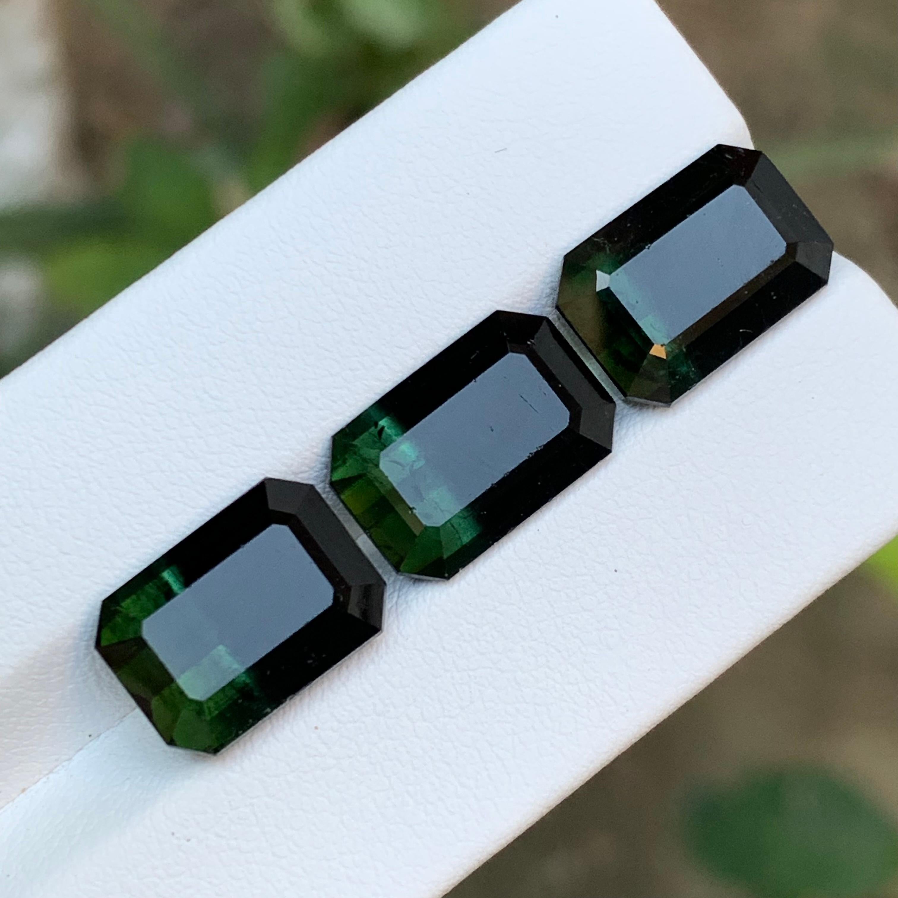 Tourmaline Naturelle Bicolore Vert & Greene & Greene 23.10 Ct Emerald Cut en vente 4