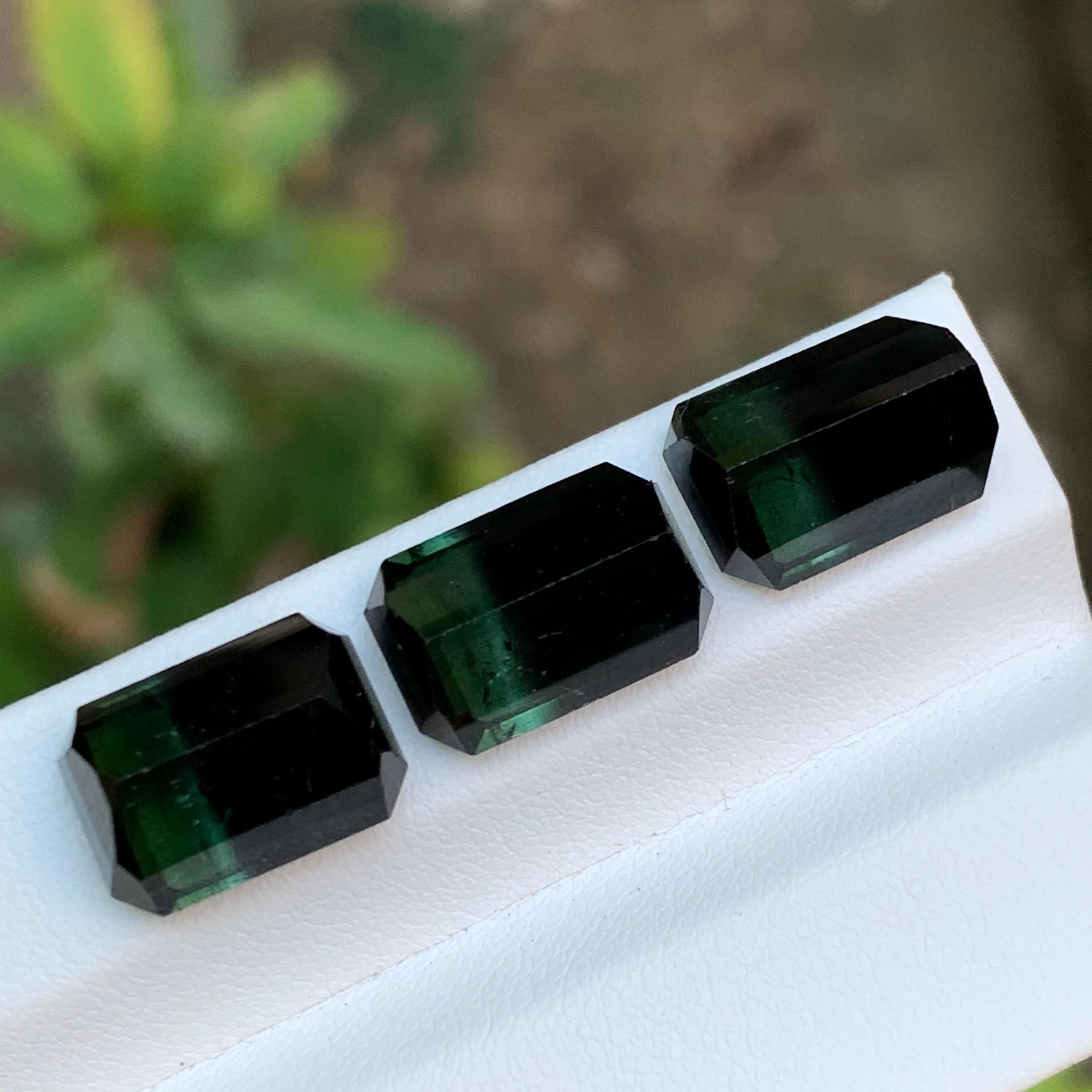 Tourmaline Naturelle Bicolore Vert & Greene & Greene 23.10 Ct Emerald Cut Neuf - En vente à Peshawar, PK