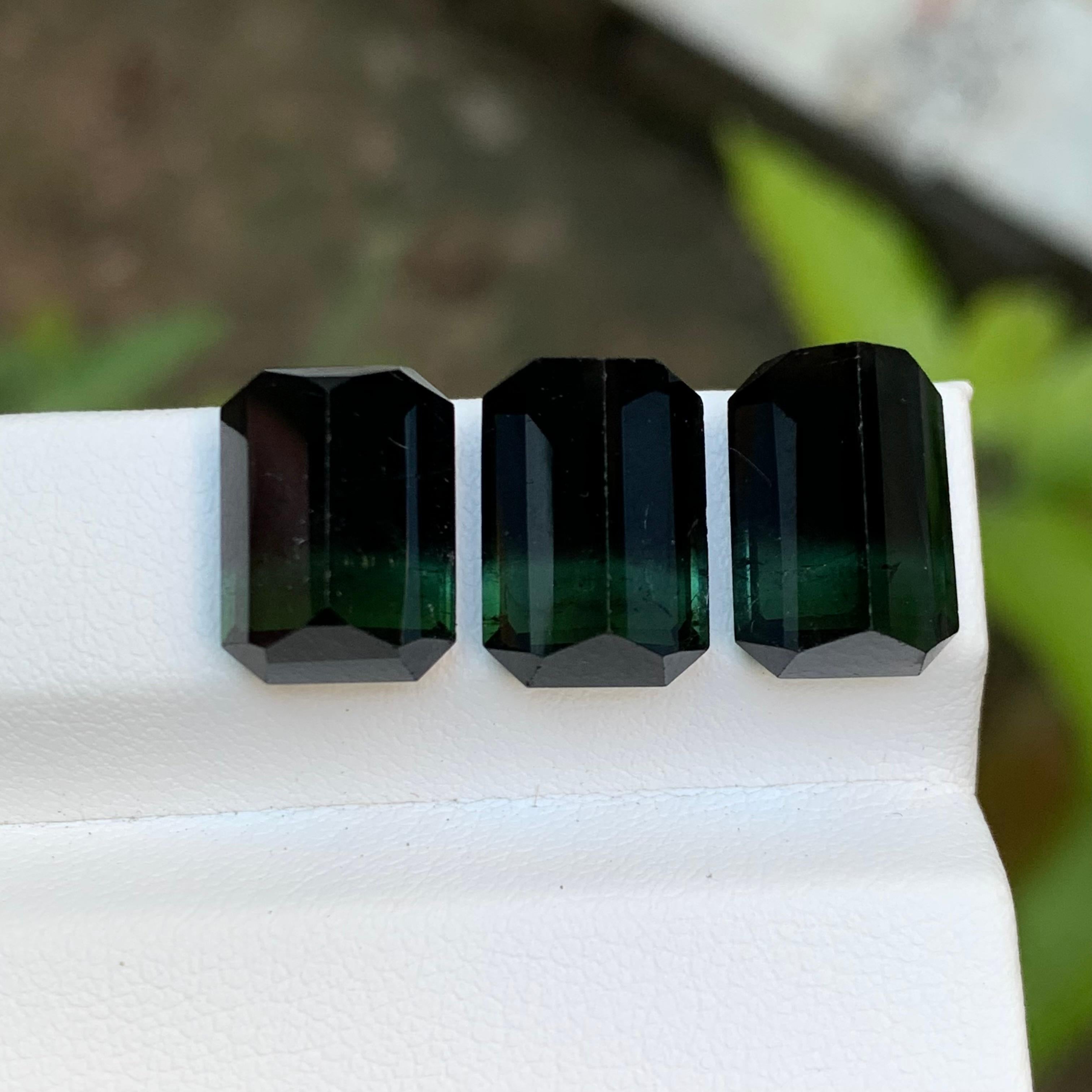 Tourmaline Naturelle Bicolore Vert & Greene & Greene 23.10 Ct Emerald Cut Unisexe en vente
