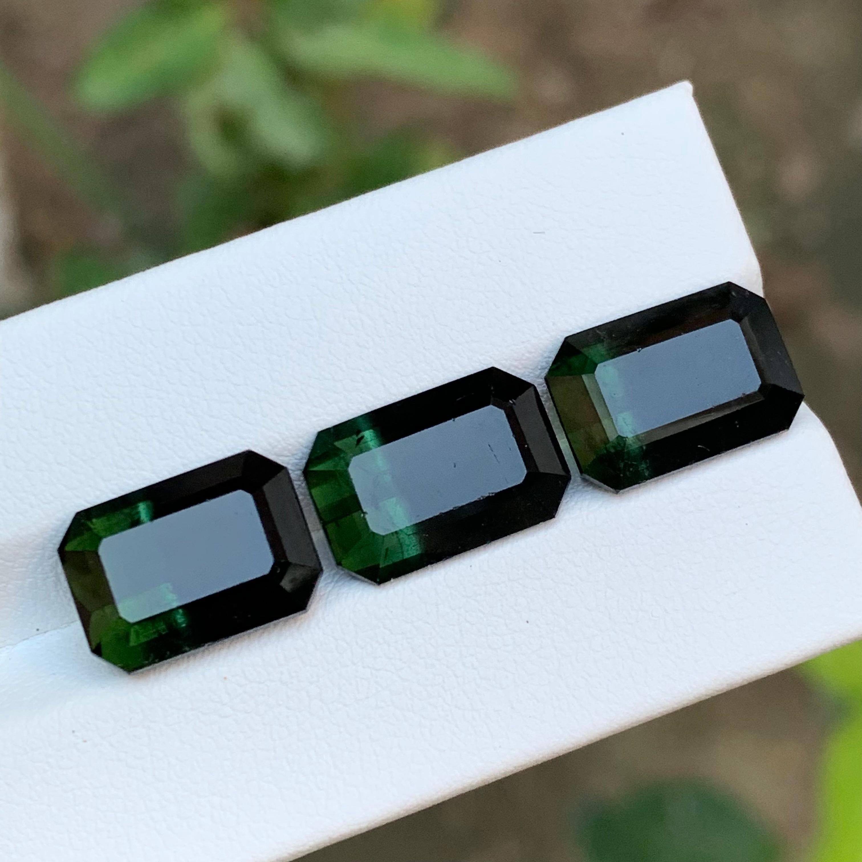 Tourmaline Naturelle Bicolore Vert & Greene & Greene 23.10 Ct Emerald Cut en vente 1