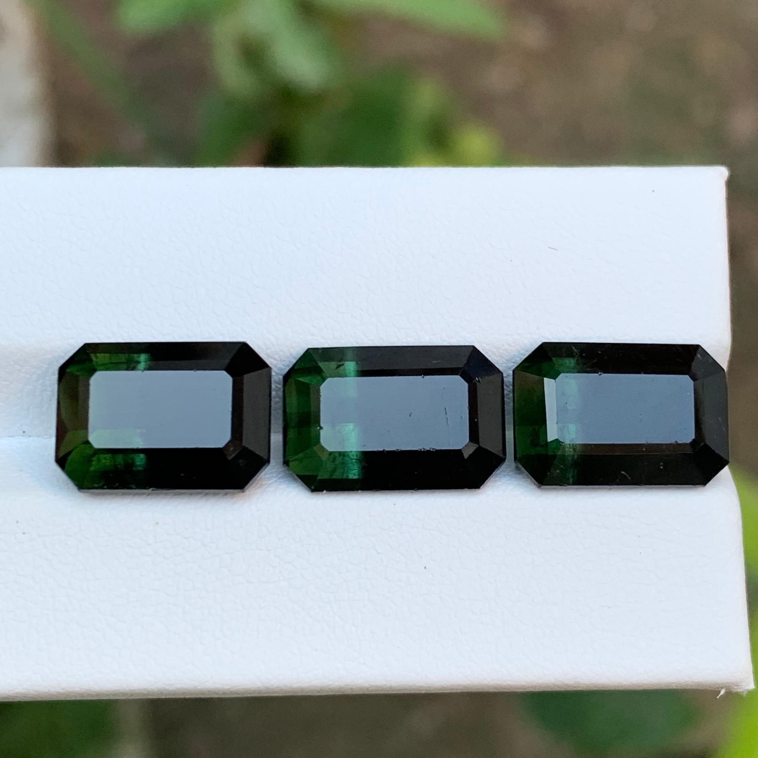 Tourmaline Naturelle Bicolore Vert & Greene & Greene 23.10 Ct Emerald Cut en vente 3