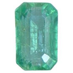 Deep Green Natural Emerald 0.62ct Rare Loose Emerald Octagon Cut Gem
