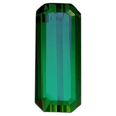 Pierre précieuse tourmaline naturelle vert profond taille émeraude de 6,25 carats pour une monture bijouterie 