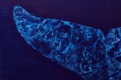 Deep Indigo Fluke