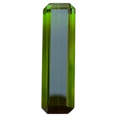 Deep Olive Green Natural Turmalin Ring, Anhänger Lose Edelstein 7,60 Ct-Schmuck