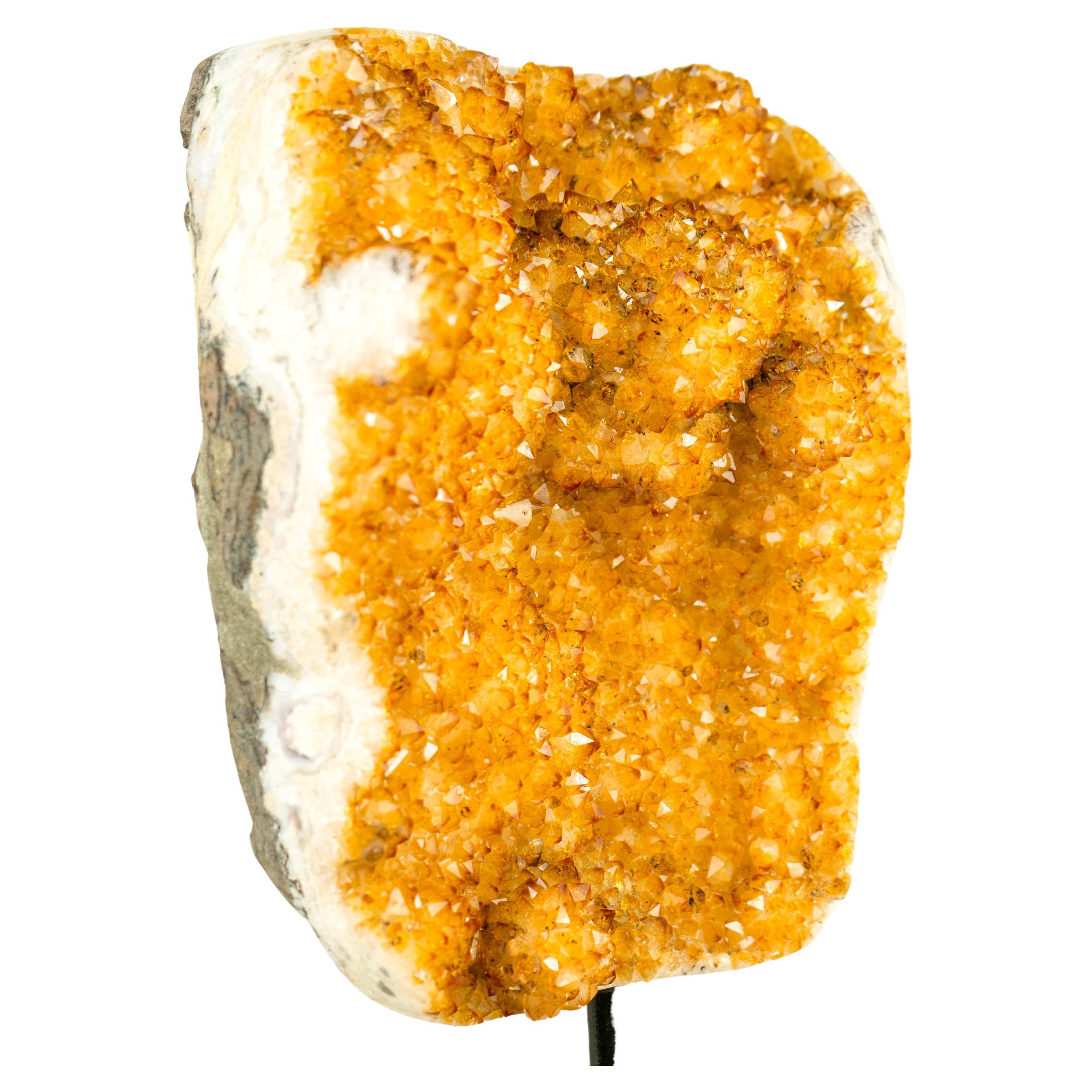 Brazilian Golden Yellow Galaxy Citrine Cluster with Flower Rosettes (Stalactite)  For Sale