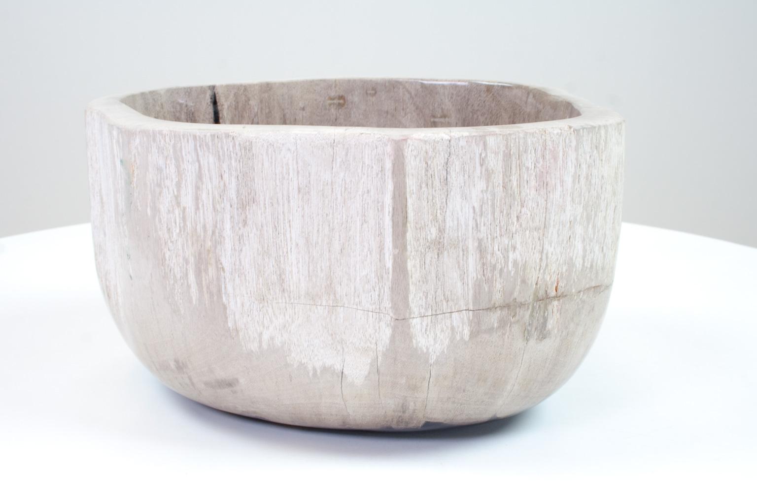 Indonesian Deep Petrified Wood Bowl in Beige and Hard Coal, Home Accessory Organic Original