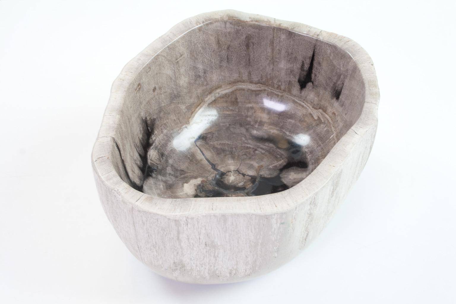 Deep Petrified Wood Bowl in Beige and Hard Coal, Home Accessory Organic Original In Excellent Condition In Beek en Donk, NL