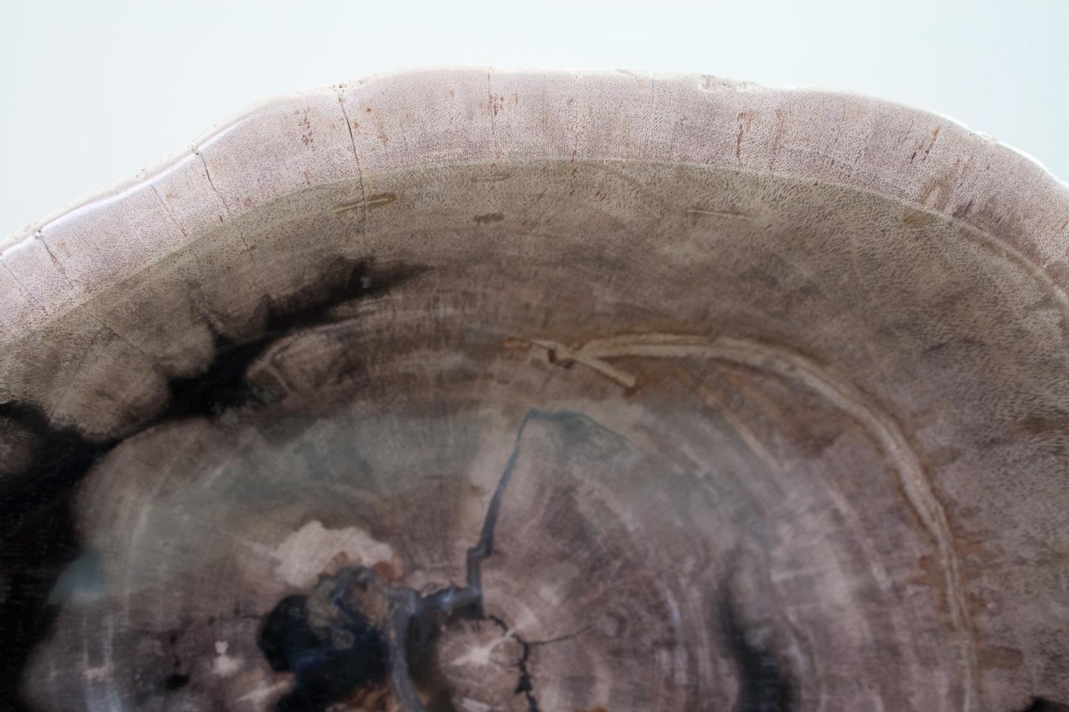 Organic Material Deep Petrified Wood Bowl in Beige and Hard Coal, Home Accessory Organic Original