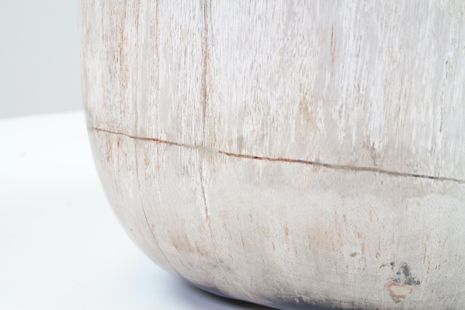 Deep Petrified Wood Bowl in Beige and Hard Coal, Home Accessory Organic Original 1