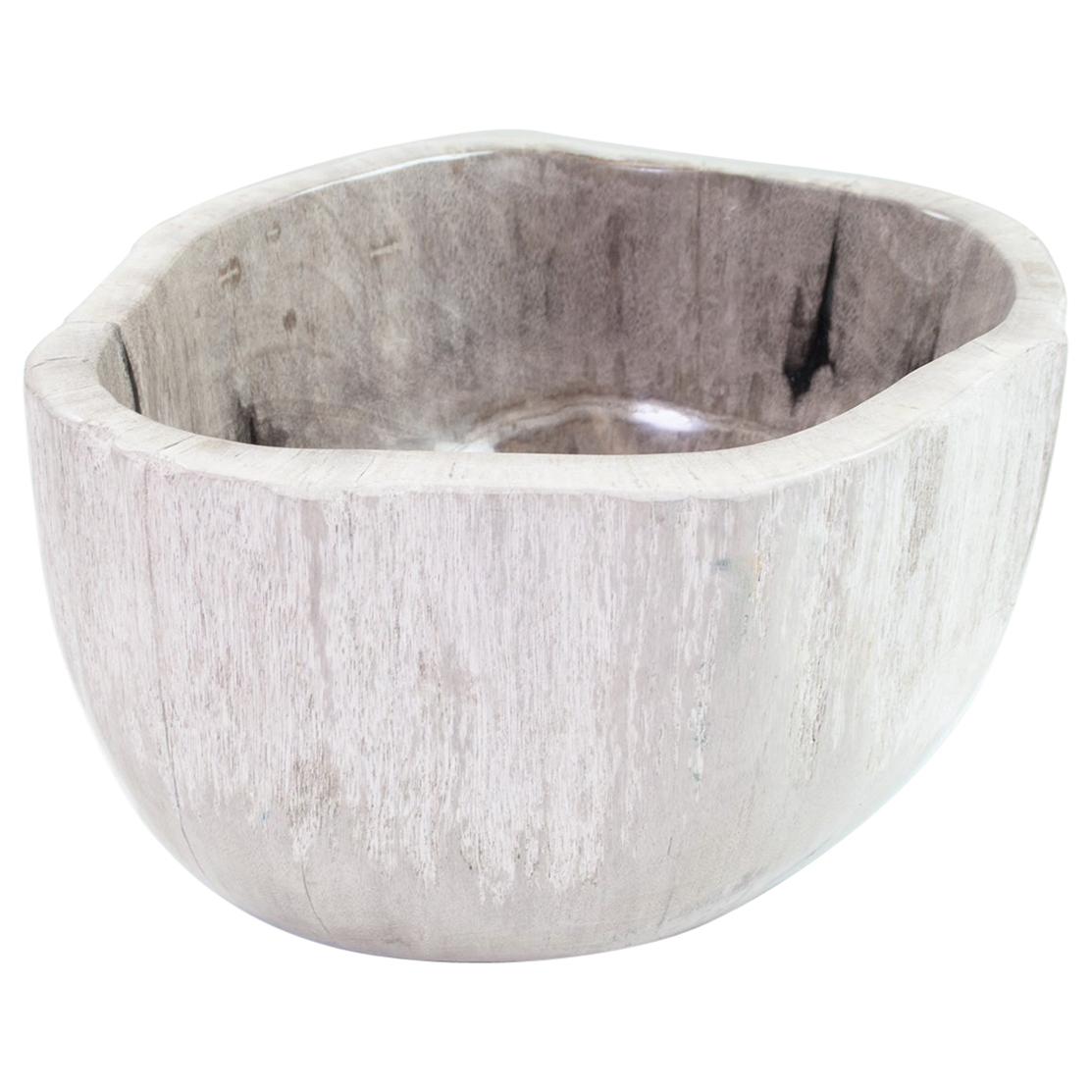 Deep Petrified Wood Bowl in Beige and Hard Coal, Home Accessory Organic Original