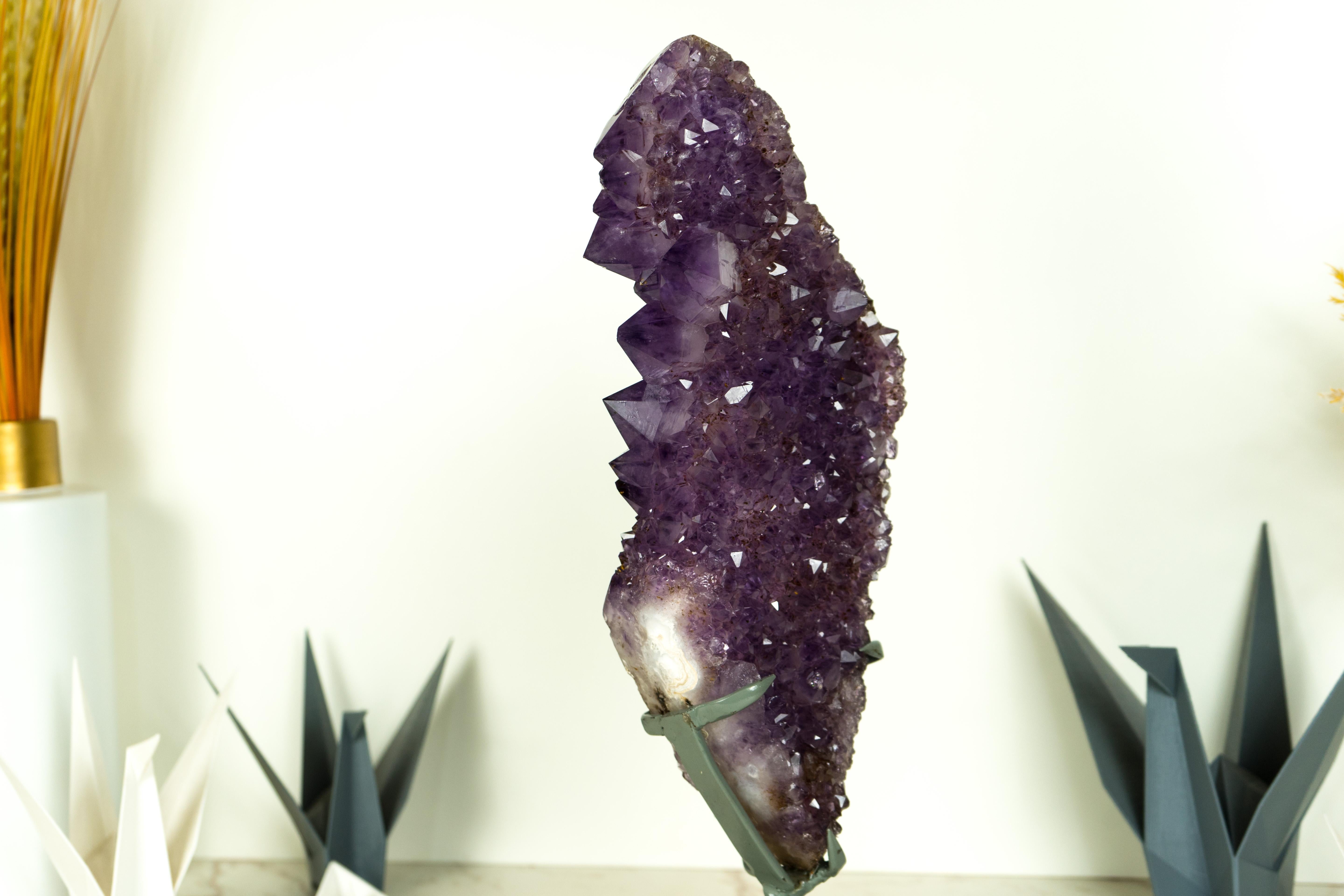 A beautiful Amethyst Geode Cluster that brings beautiful Aesthetics that is formed by large, uncommonly formed Amethyst Druzy surrounded by smaller sparkly druzy, this cluster brings perfectly formed Amethyst Druzy on top of an Agate matrix. A