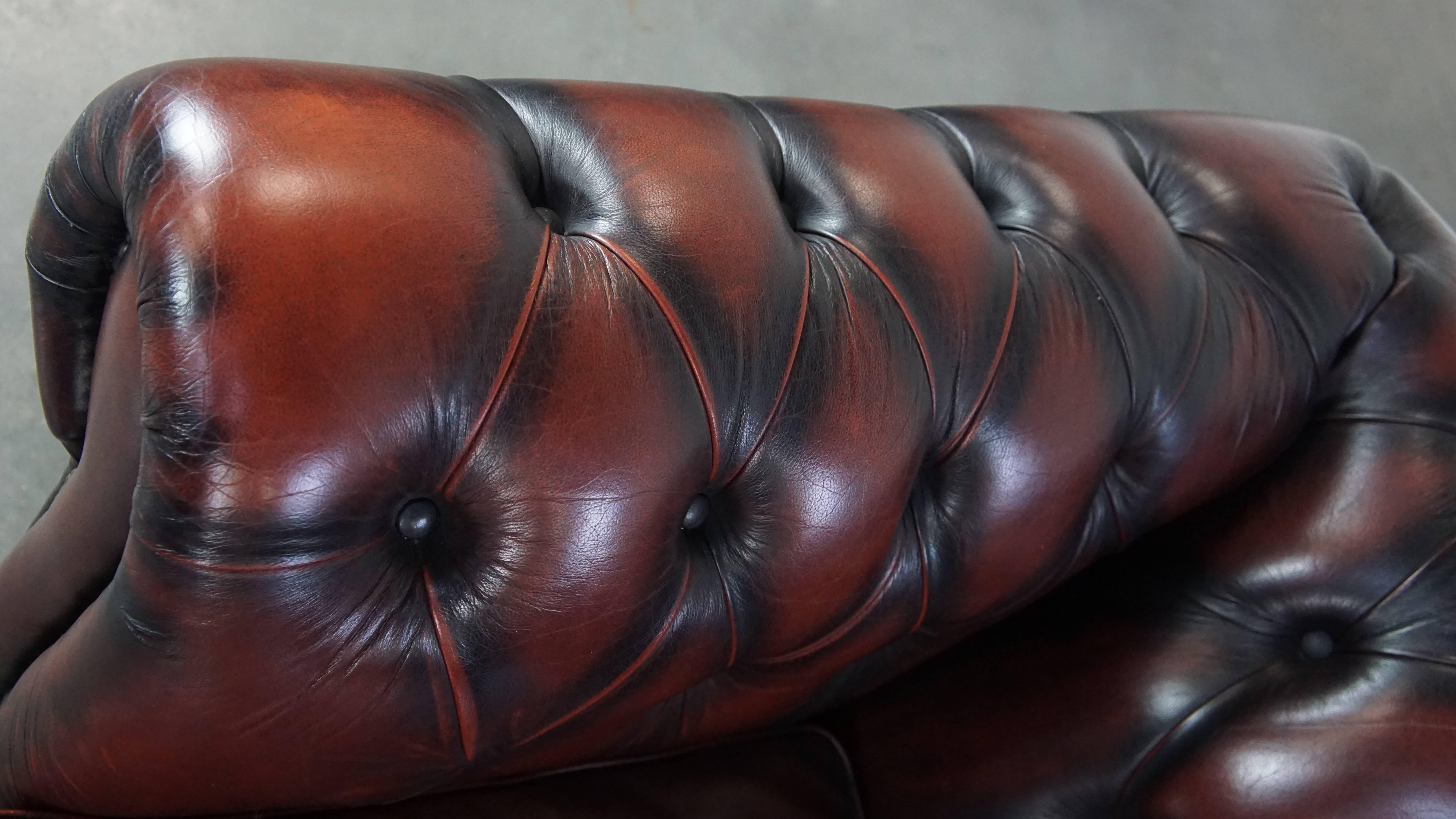 Sofá Chesterfield de 2,5 plazas en Piel de Vacuno Rojo Profundo Flameado en venta 5